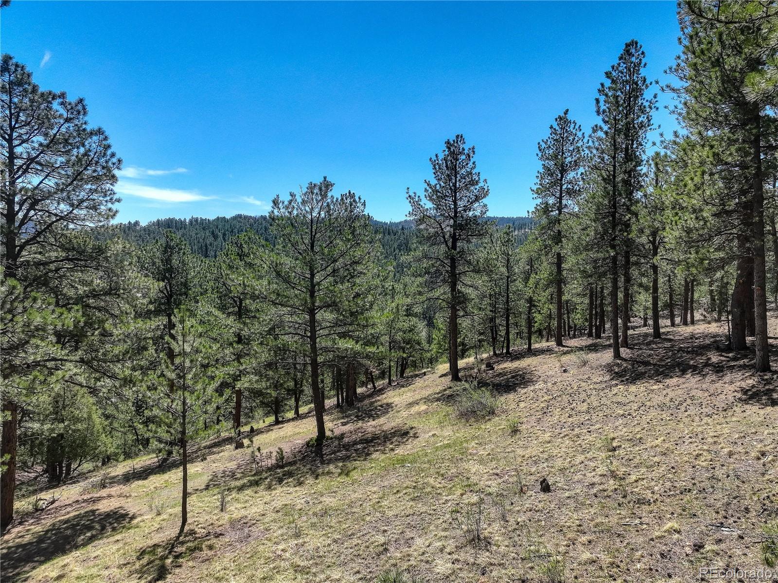 0 Hayden Ridge Road Evergreen, CO 80439 - Photo 4 of 14