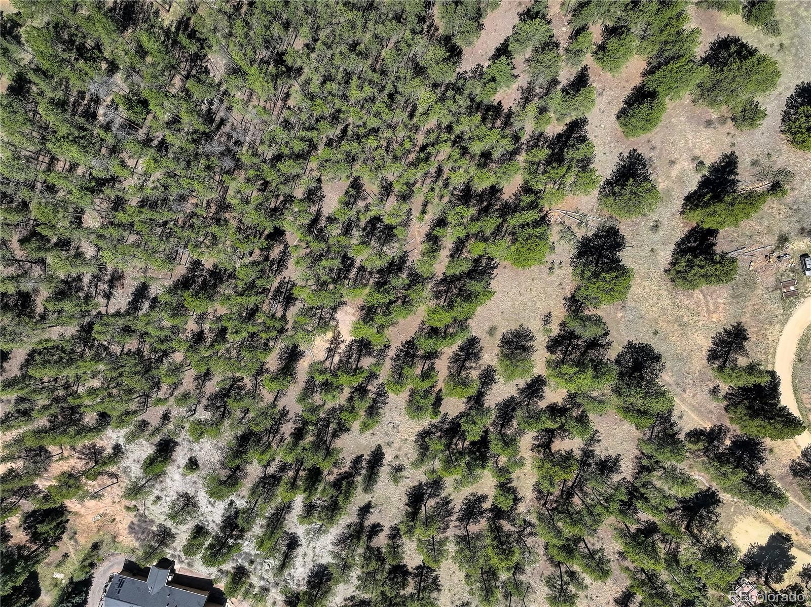 0 Hayden Ridge Road Evergreen, CO 80439 - Photo 5 of 14