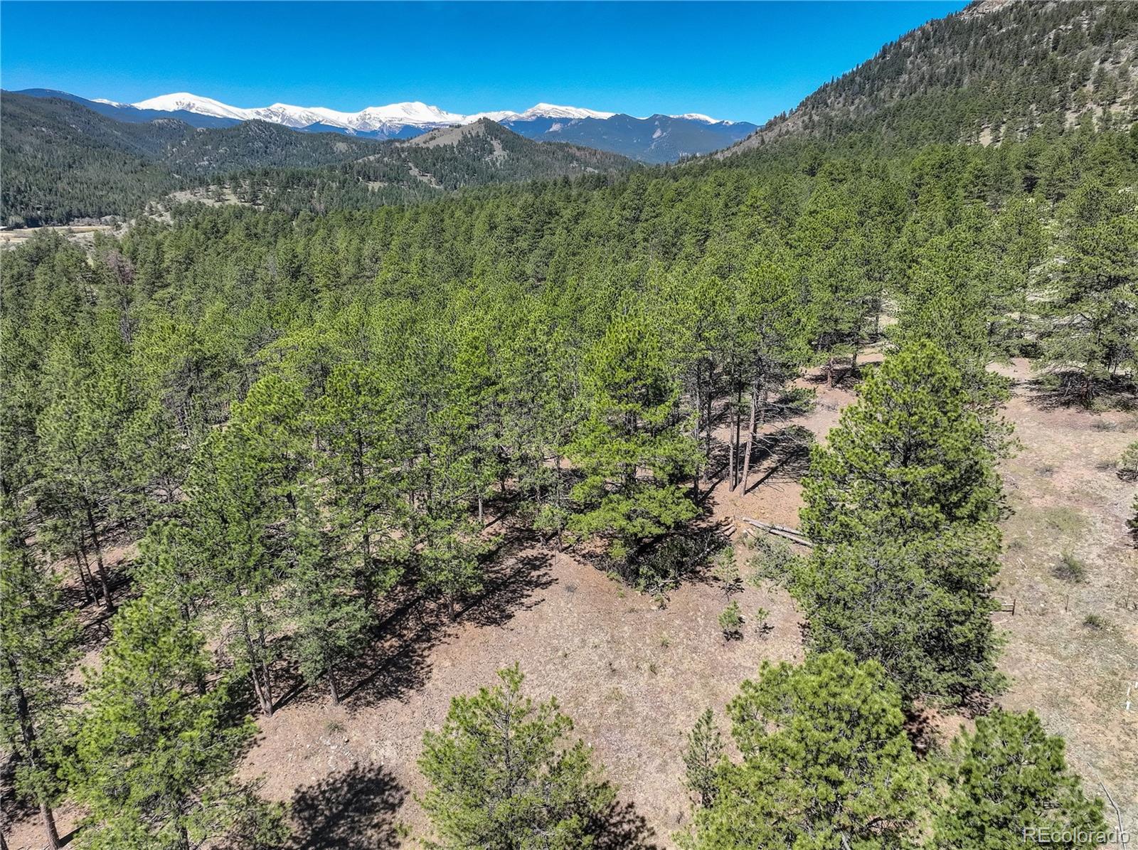 0 Hayden Ridge Road Evergreen, CO 80439 - Photo 6 of 14