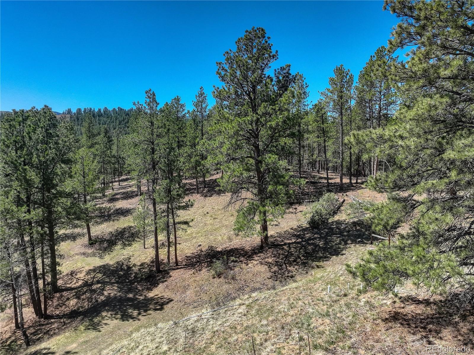 0 Hayden Ridge Road Evergreen, CO 80439 - Photo 7 of 14