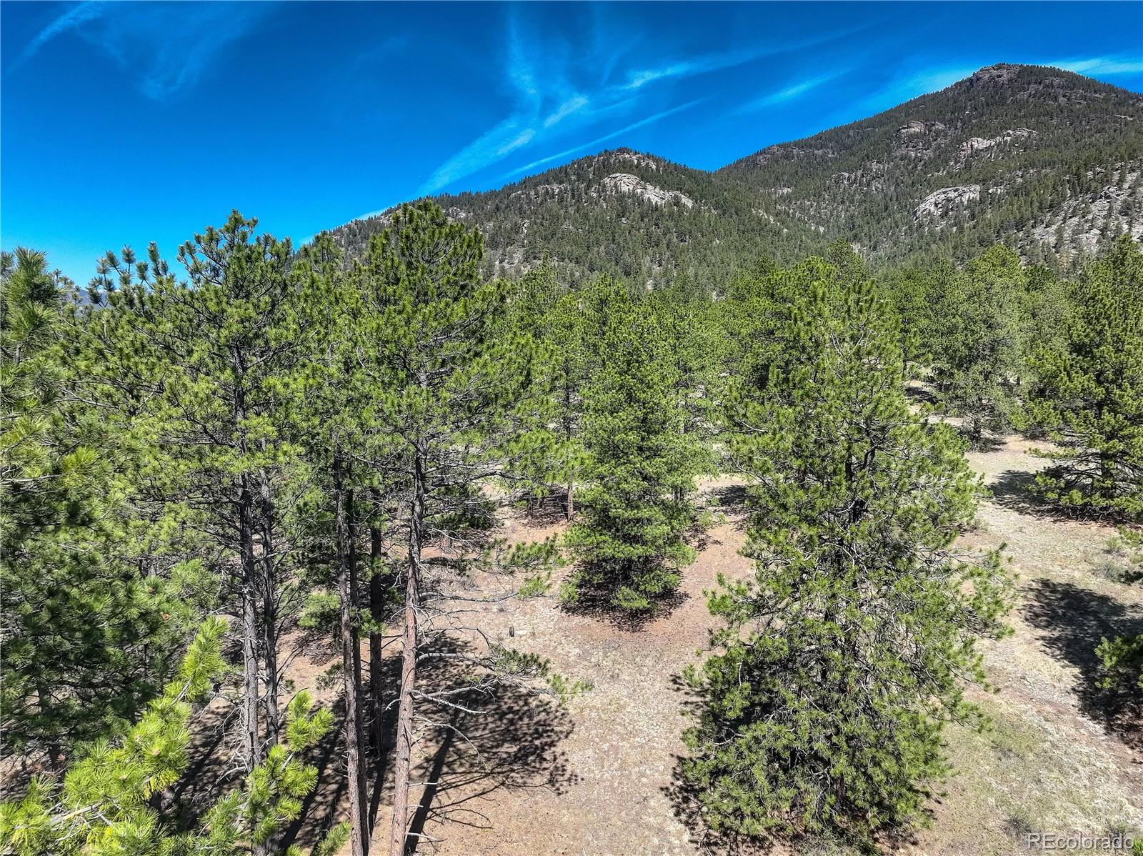 0 Hayden Ridge Road Evergreen, CO 80439 - Photo 10 of 14