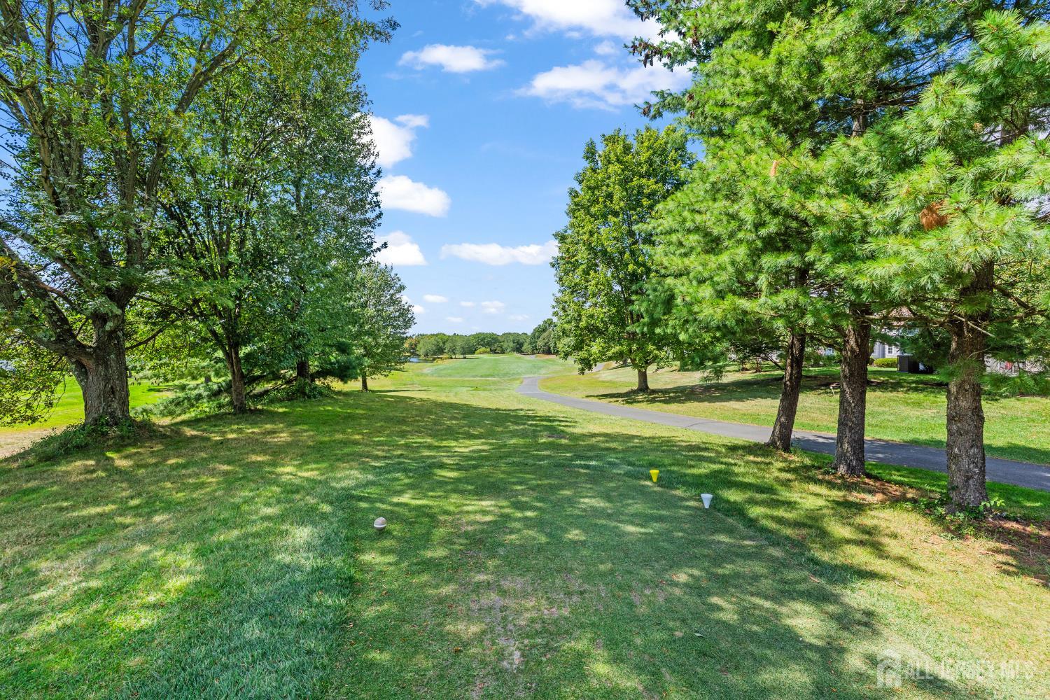 27 Winthrop Road Monroe Township, NJ 08831 - Photo 50 of 53 Gallery Image 50