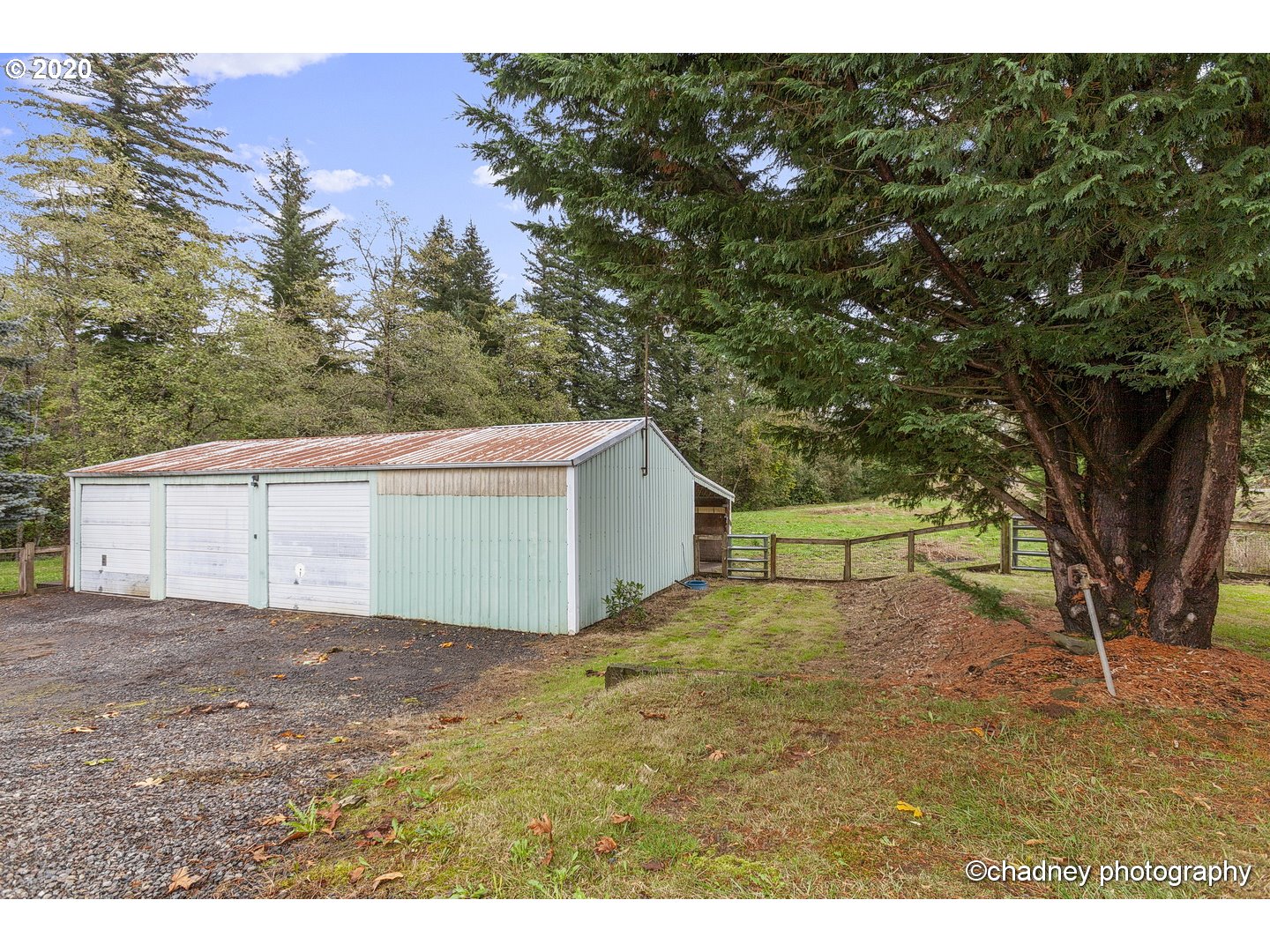 33833 Southeast Hurlburt Road Corbett, OR 97019 - Photo 29 of 32 a view of backyard with large tree