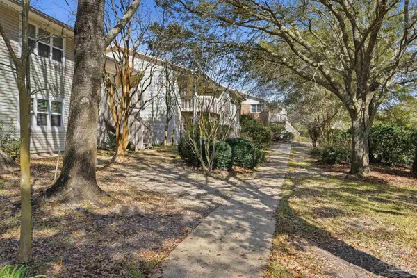 a view of yard