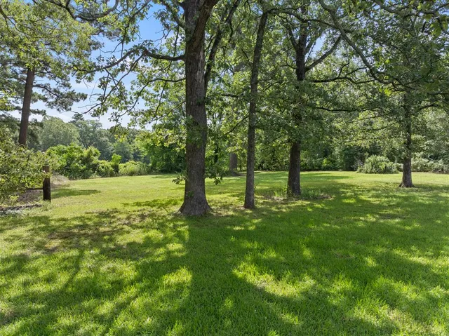 a view of field with trees