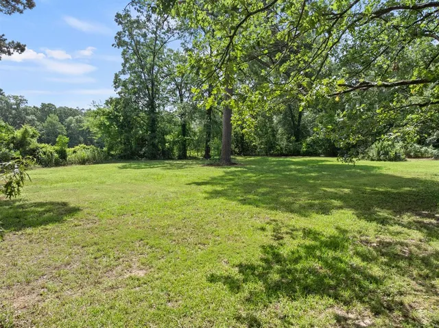 a view of a field with a trees in the background