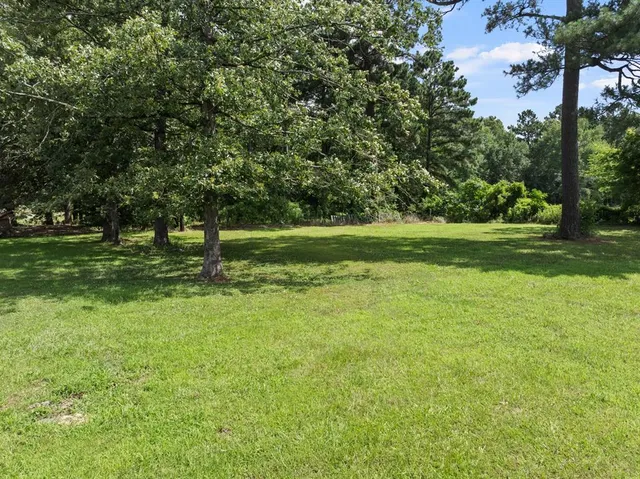 a view of a field with a tree