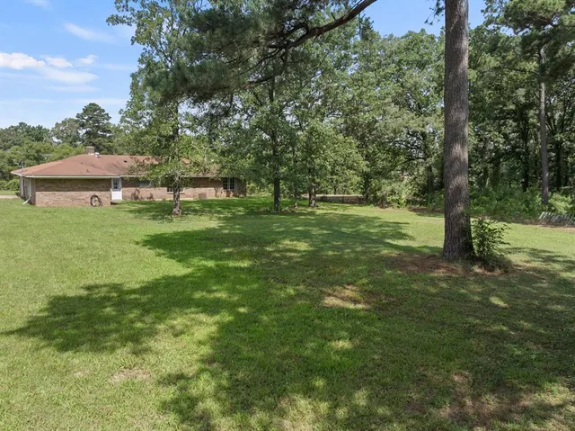 a view of a trees in a yard