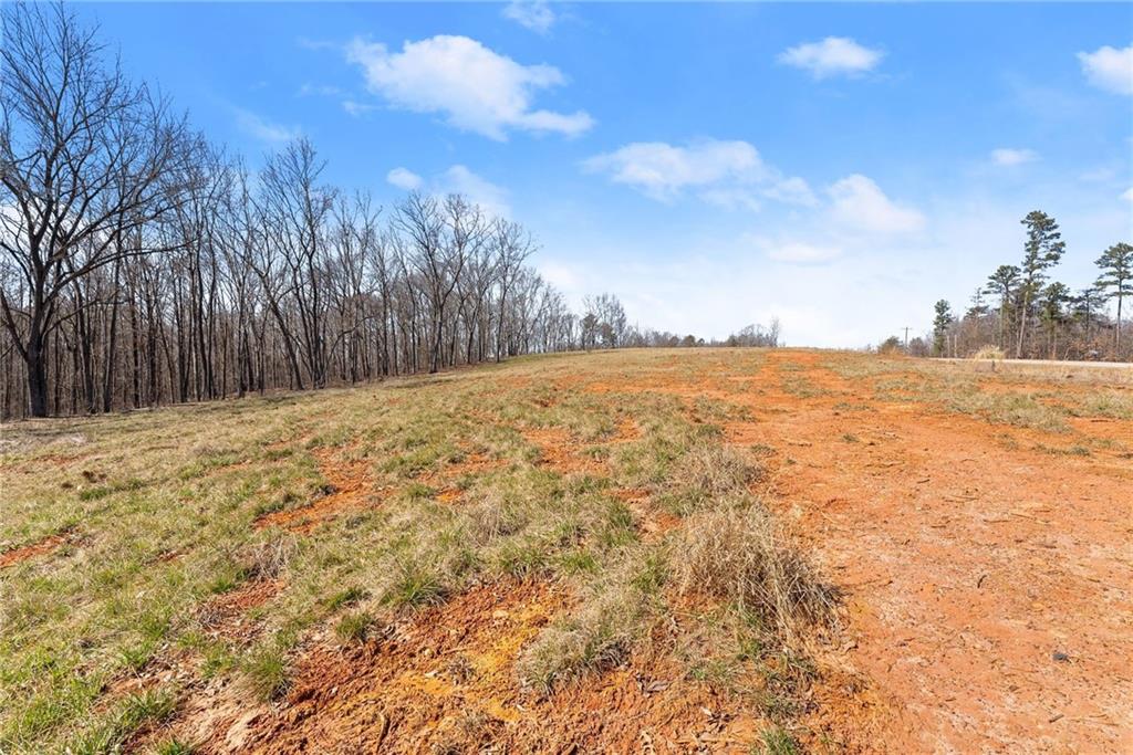 5419 Highway 320 Carnesville, GA 30521 - Photo 3 of 25