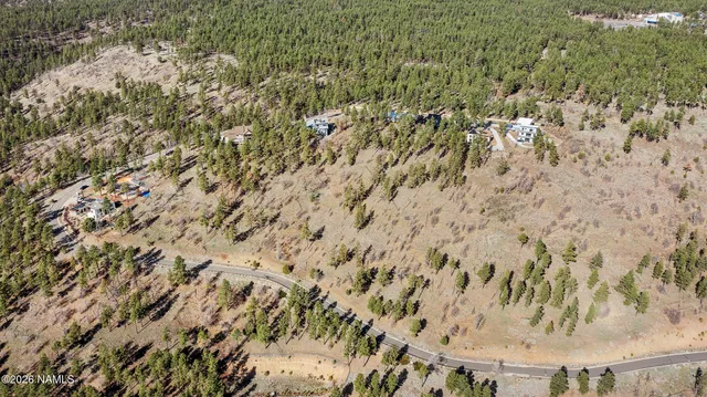 a view of a dry yard