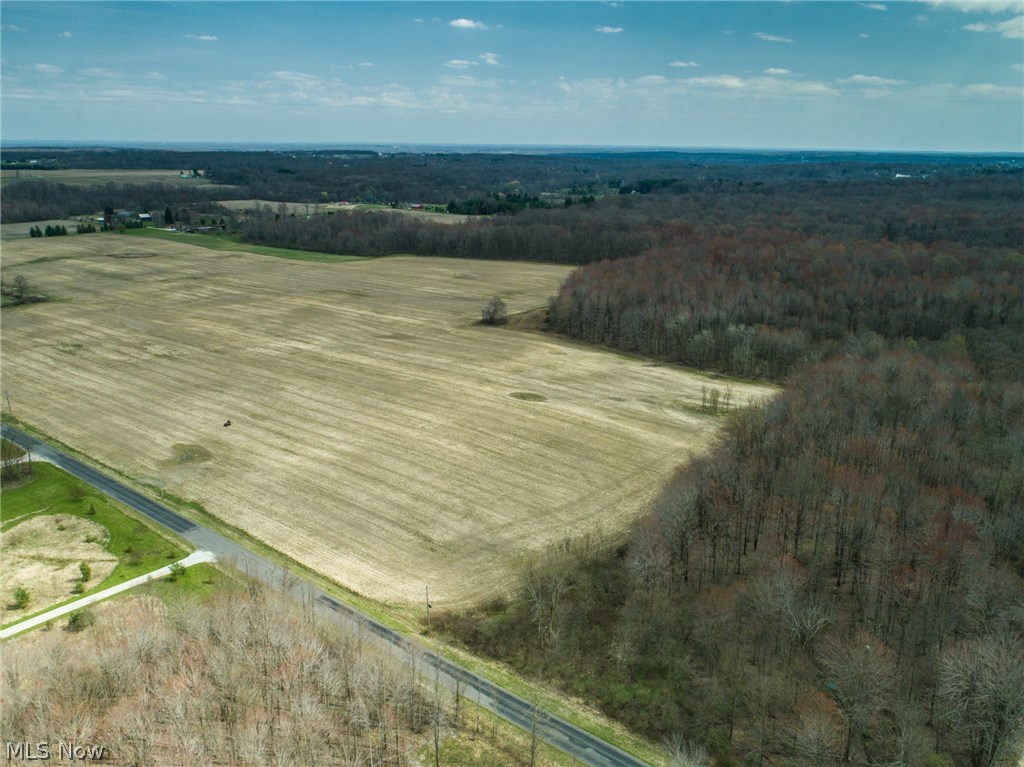 Parcel A Norton Road Garrettsville, OH 44231 - Photo 3 of 3