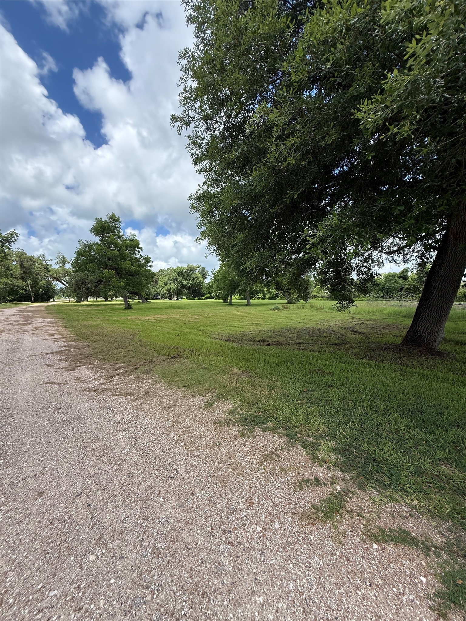 9339 FM 524 Road Sweeny, TX 77480 - Photo 8 of 16 GRASS PARK AREA