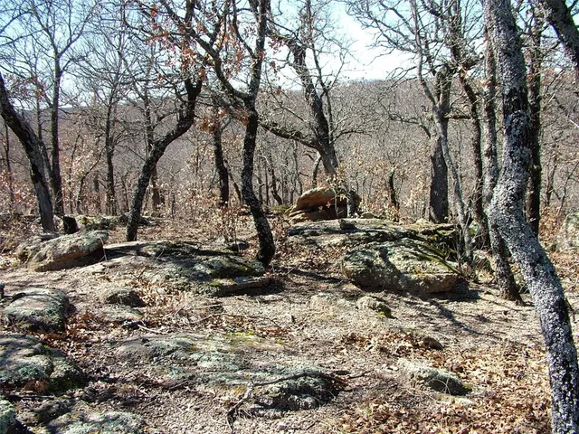 a view of outdoor space