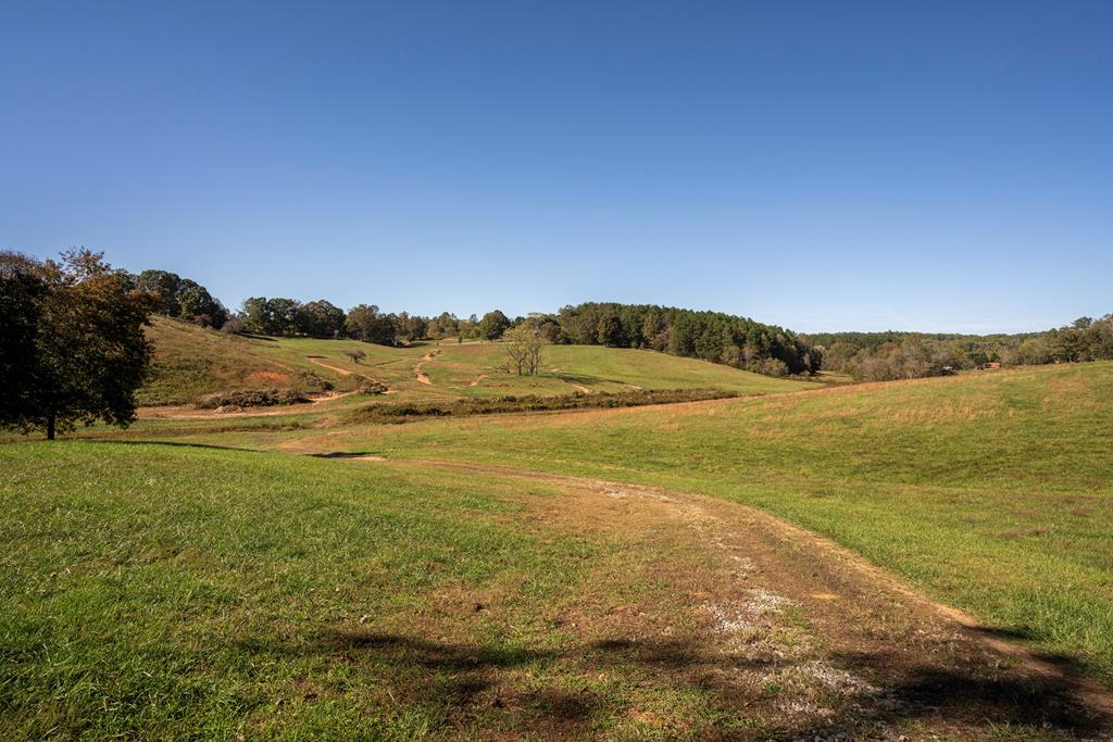 198 Tipton Springs Road Morganton, GA 30560 - Photo 9 of 72 Gallery Image 9