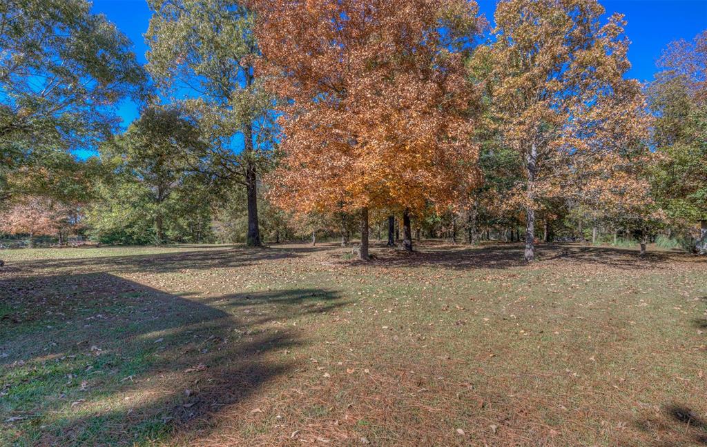 4896 Quiet Acres Road Shreveport, LA 71107 - Photo 29 of 39 a view of road with large trees