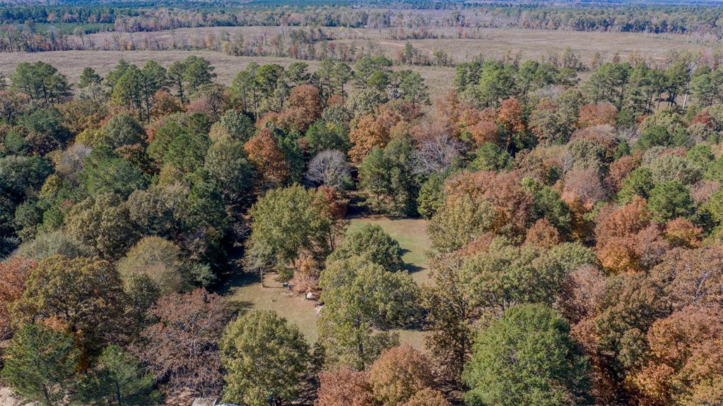 4896 Quiet Acres Road Shreveport, LA 71107 - Photo 37 of 39 a view of a lush green forest with lots of trees