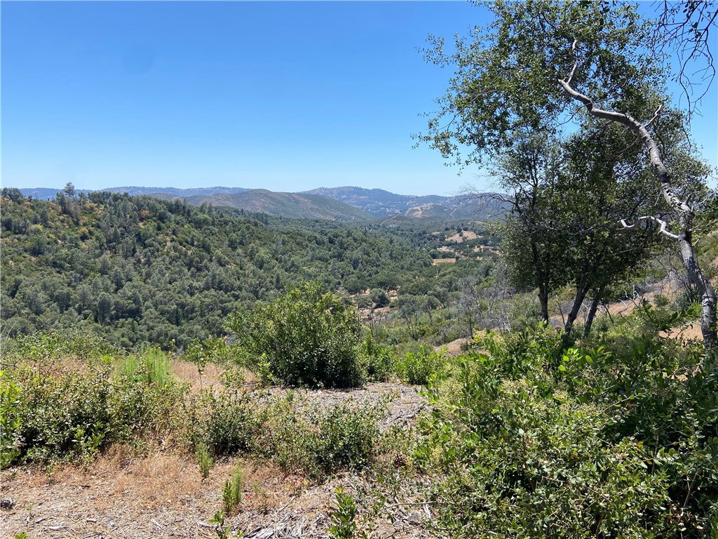 0 Bumguardner Mountain Road Mariposa, CA 95338 - Photo 10 of 36