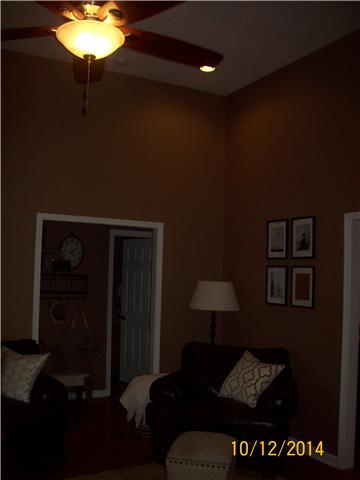 203 Mai Ridge Lane Lafayette, TN 37083 - Photo 5 of 8 Soaring 12 ft ceiling in livingroom.