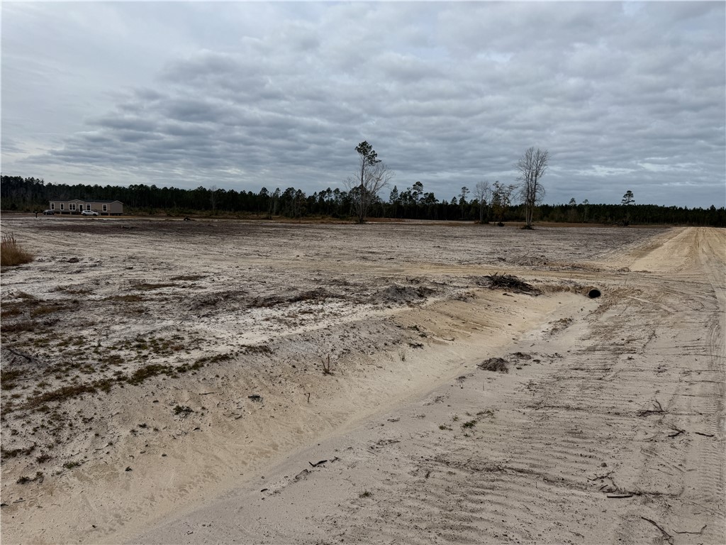 Lot 16 Wiregrass Lane, Unit 16 Waycross, GA 31503 - Photo 2 of 6