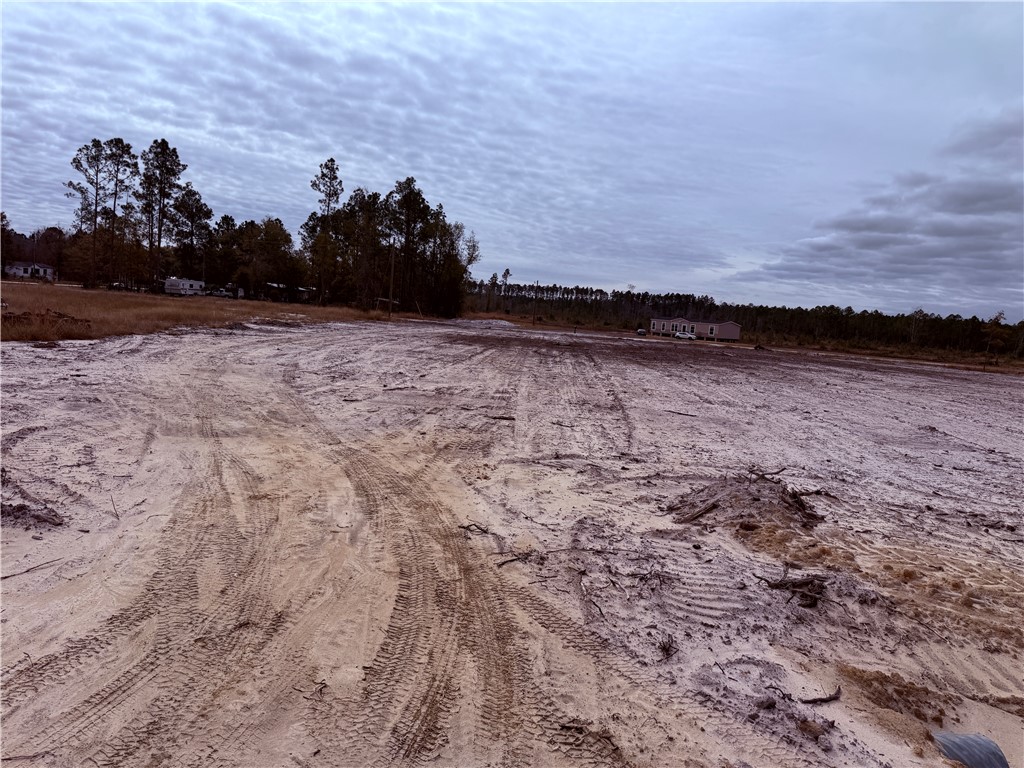 Lot 16 Wiregrass Lane, Unit 16 Waycross, GA 31503 - Photo 3 of 6