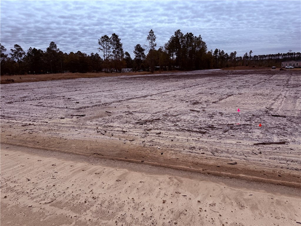 Lot 16 Wiregrass Lane, Unit 16 Waycross, GA 31503 - Photo 4 of 6