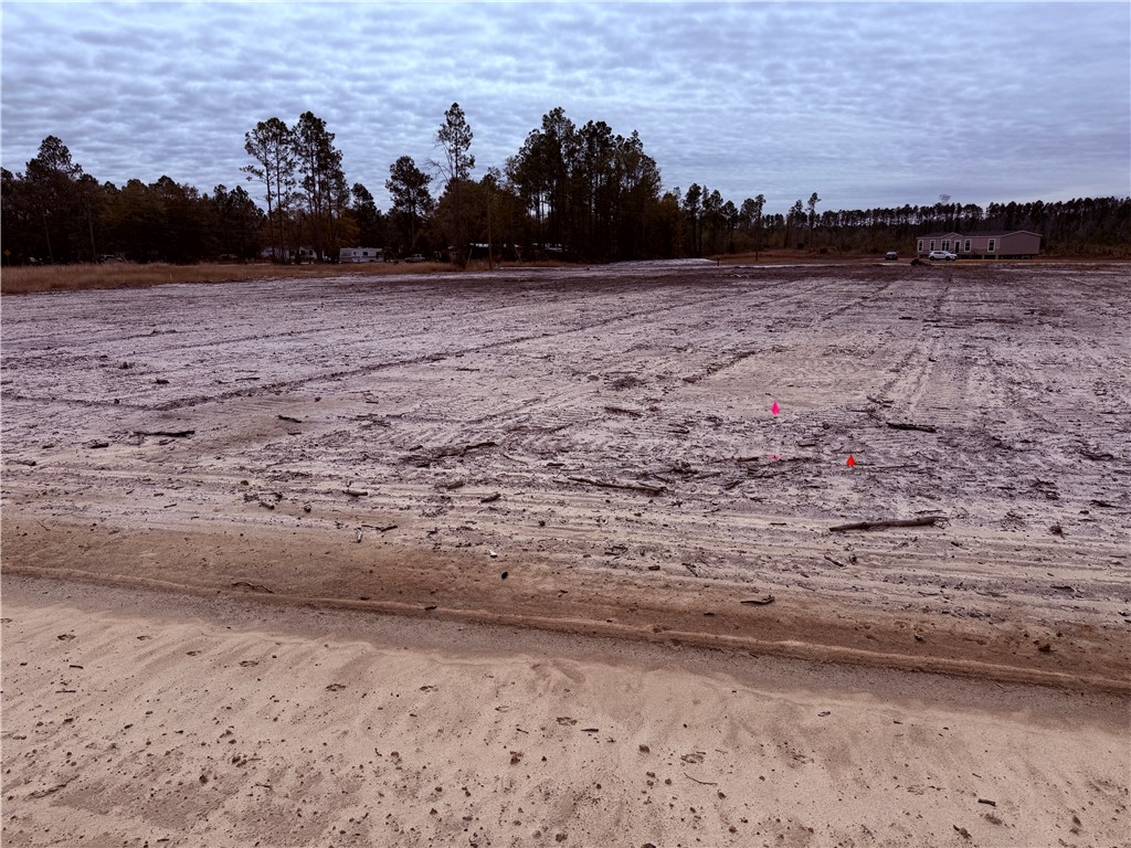 Lot 16 Wiregrass Lane, Unit 16 Waycross, GA 31503 - Photo 5 of 6
