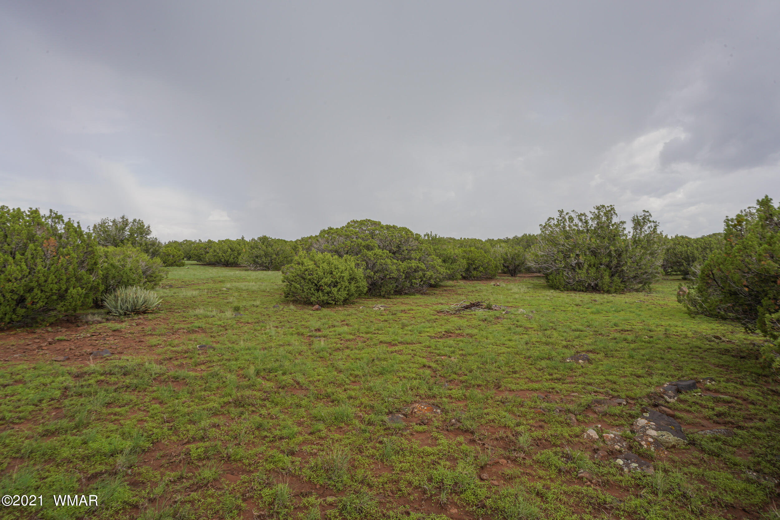 8178 Concho Az 85924 Concho, AZ 85924 - Photo 1 of 28