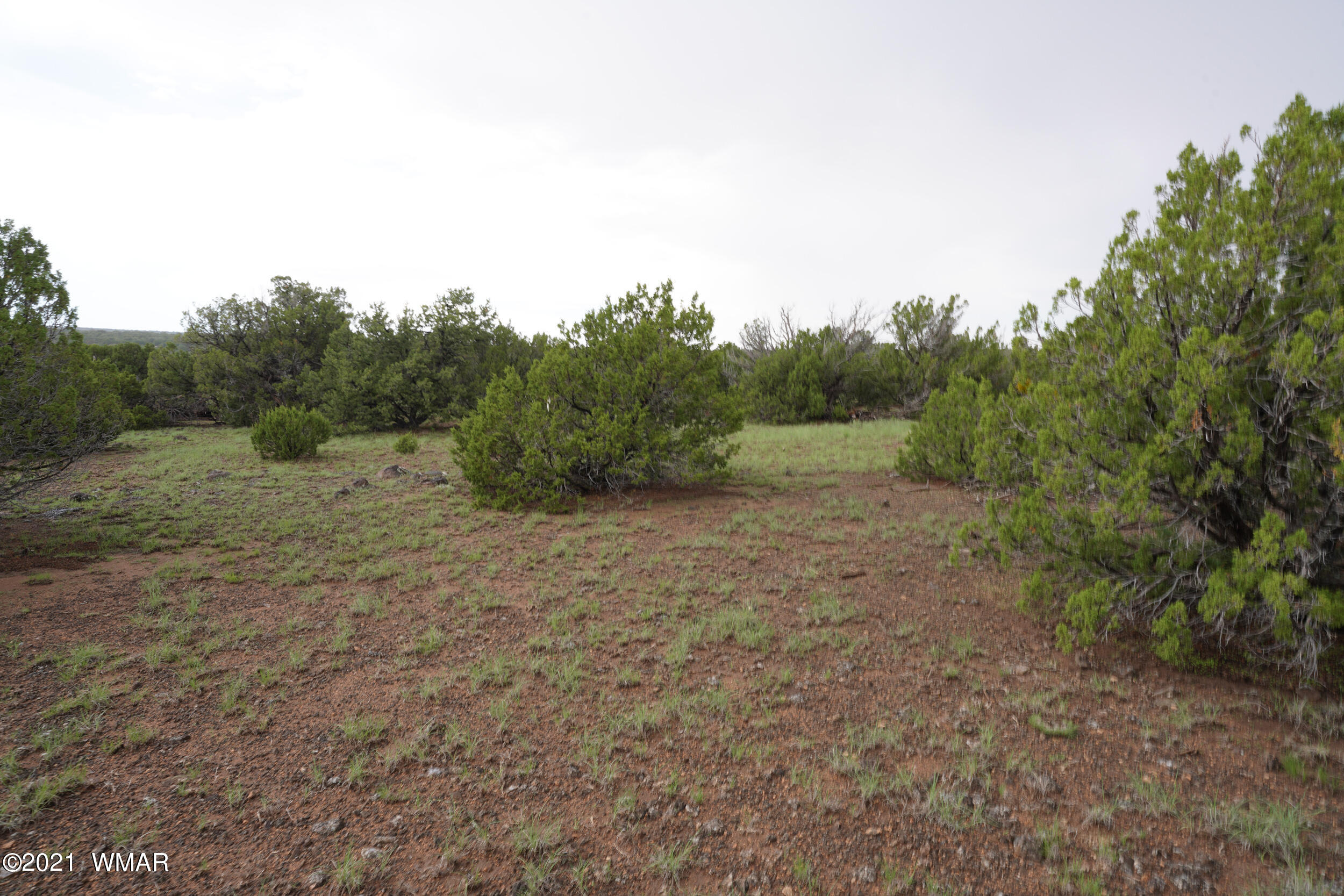 8178 Concho Az 85924 Concho, AZ 85924 - Photo 12 of 28