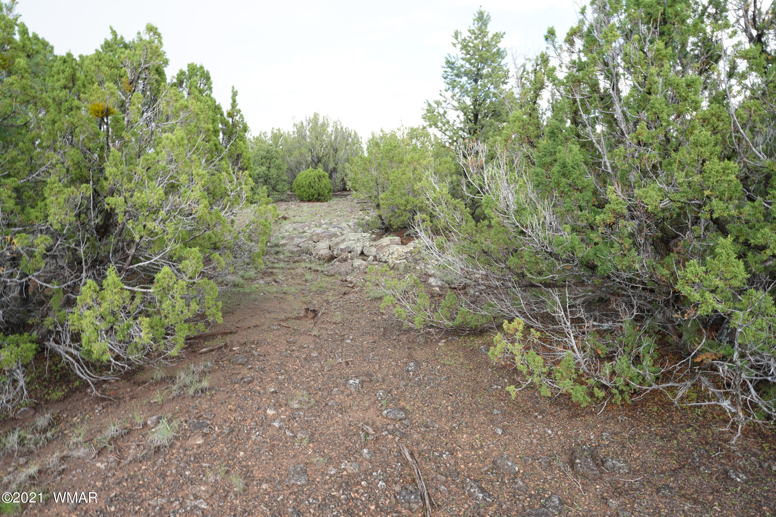 8178 Concho Az 85924 Concho, AZ 85924 - Photo 13 of 28
