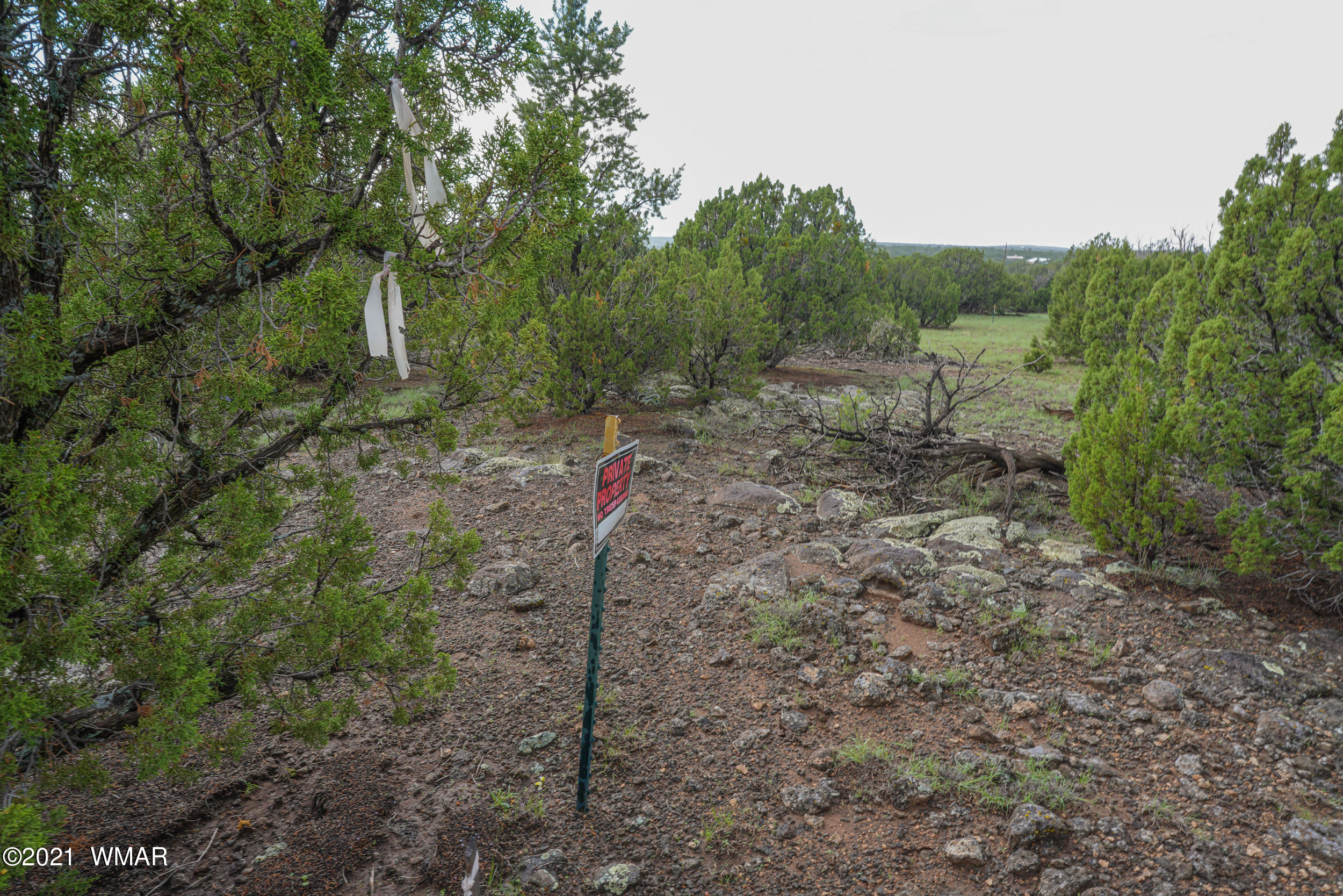 8178 Concho Az 85924 Concho, AZ 85924 - Photo 15 of 28