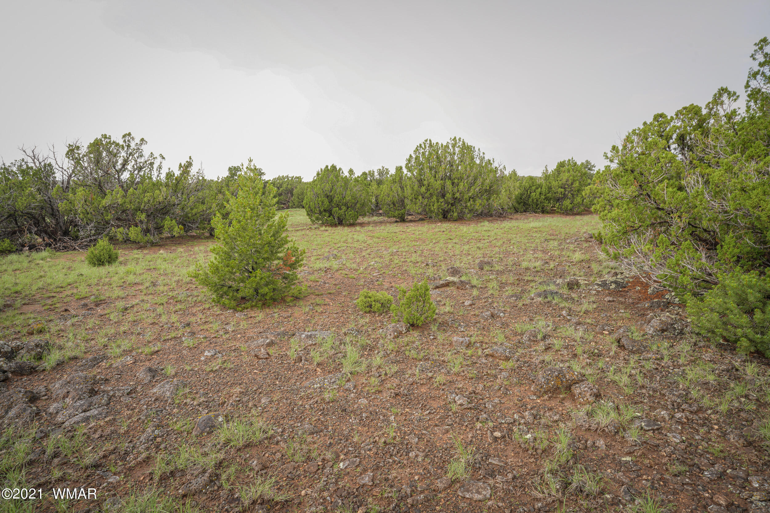 8178 Concho Az 85924 Concho, AZ 85924 - Photo 17 of 28