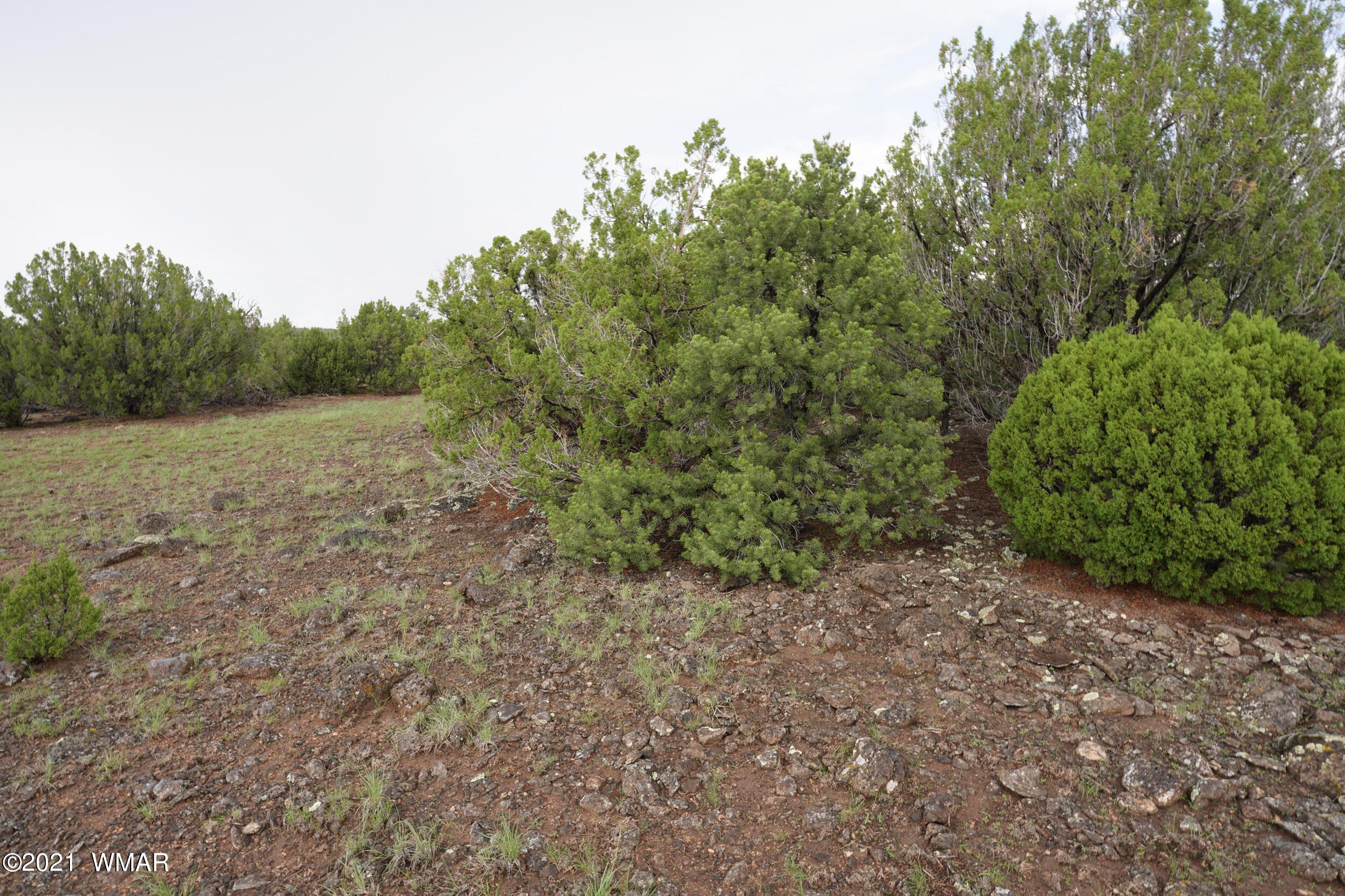 8178 Concho Az 85924 Concho, AZ 85924 - Photo 18 of 28