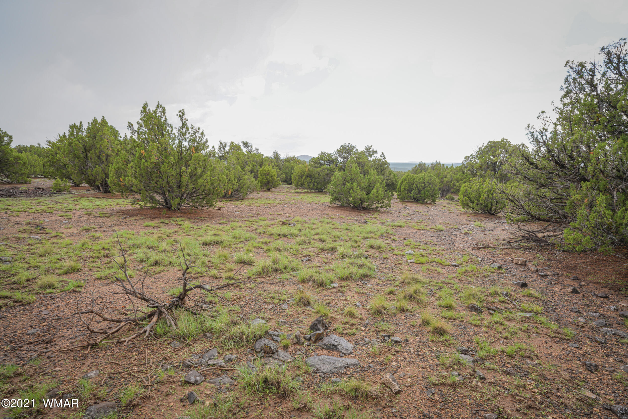 8178 Concho Az 85924 Concho, AZ 85924 - Photo 19 of 28
