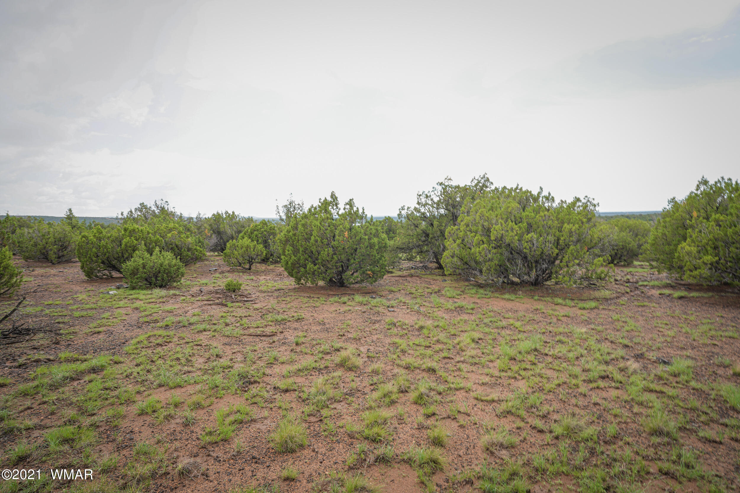 8178 Concho Az 85924 Concho, AZ 85924 - Photo 20 of 28