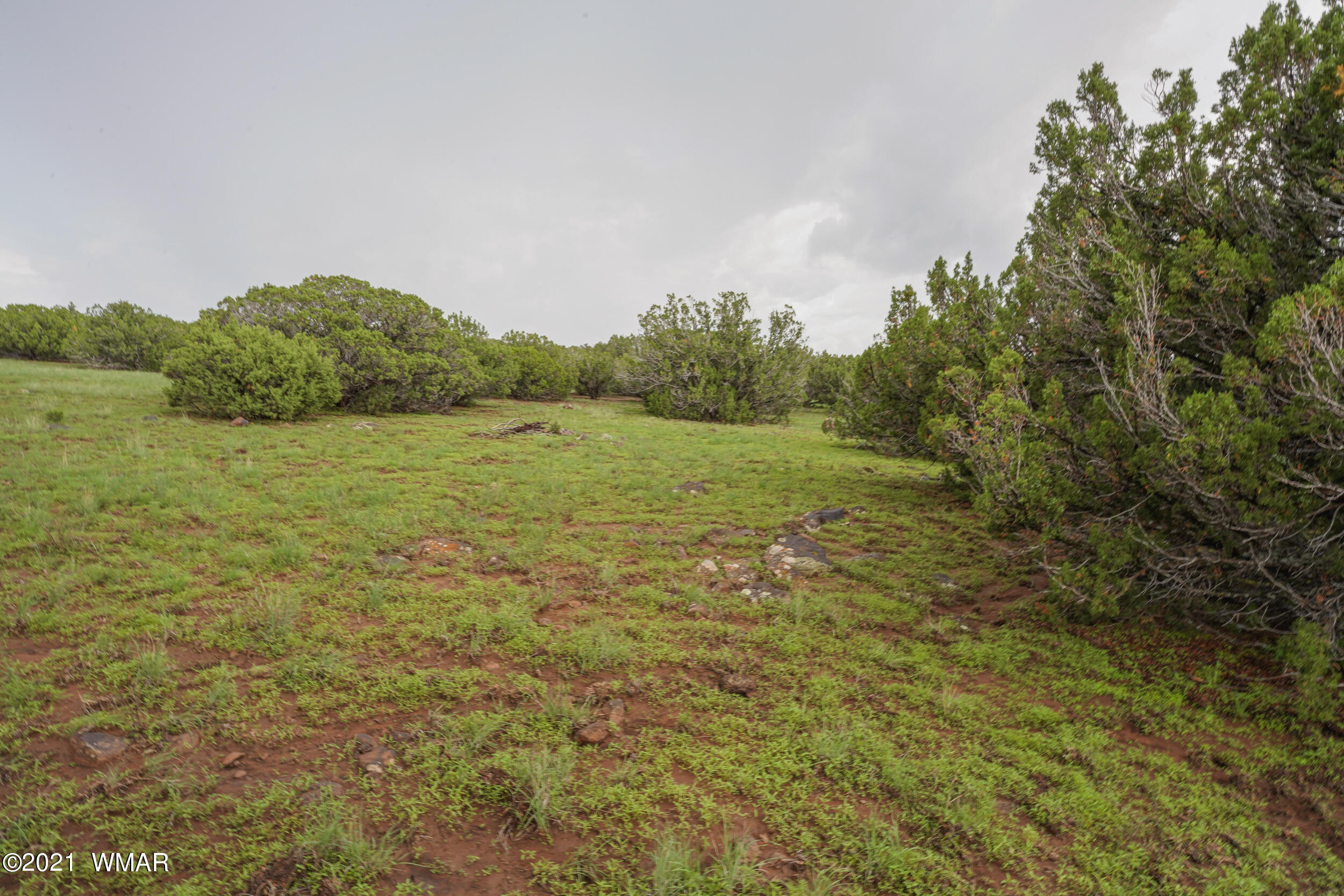 8178 Concho Az 85924 Concho, AZ 85924 - Photo 2 of 28