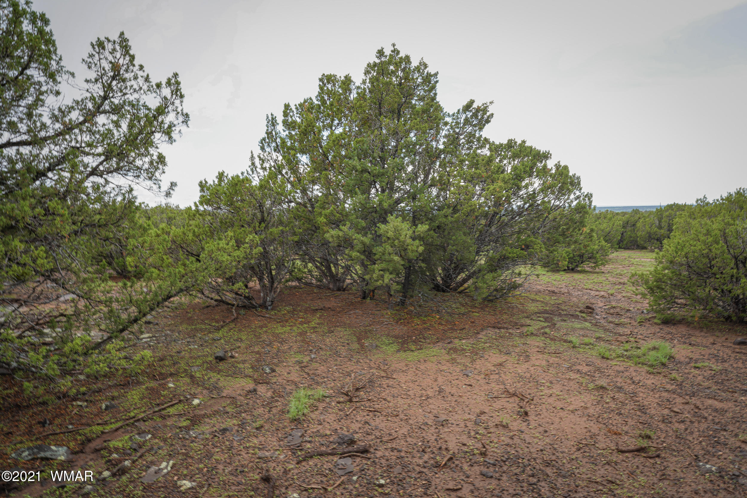 8178 Concho Az 85924 Concho, AZ 85924 - Photo 21 of 28