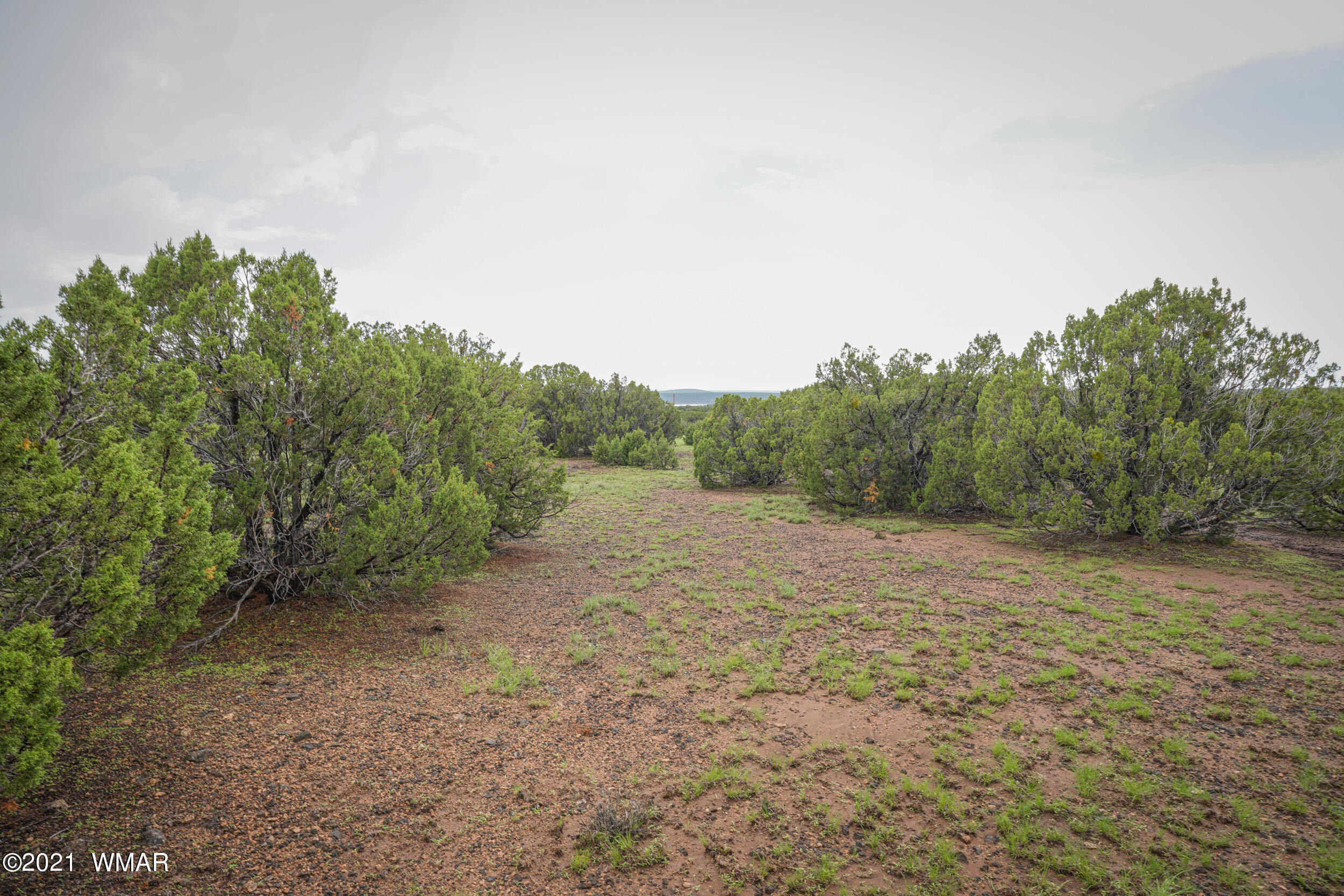 8178 Concho Az 85924 Concho, AZ 85924 - Photo 22 of 28