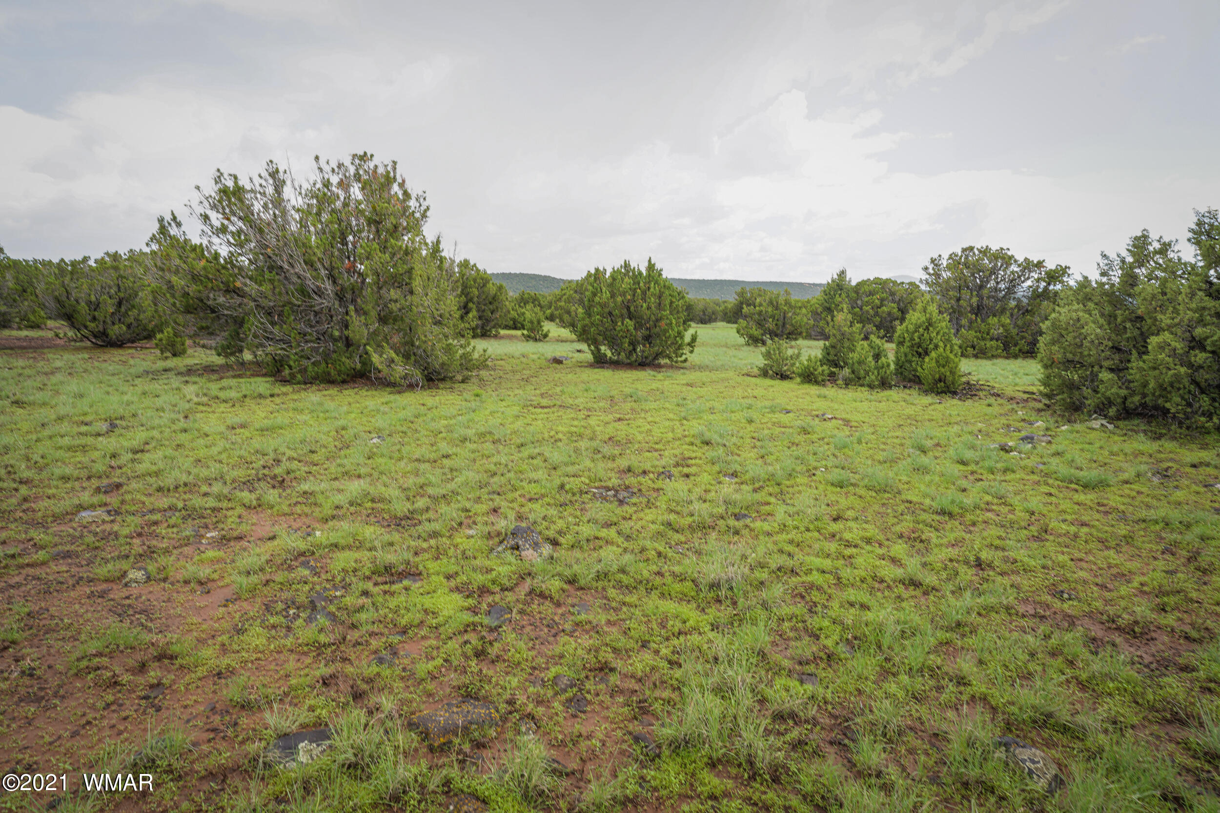 8178 Concho Az 85924 Concho, AZ 85924 - Photo 23 of 28