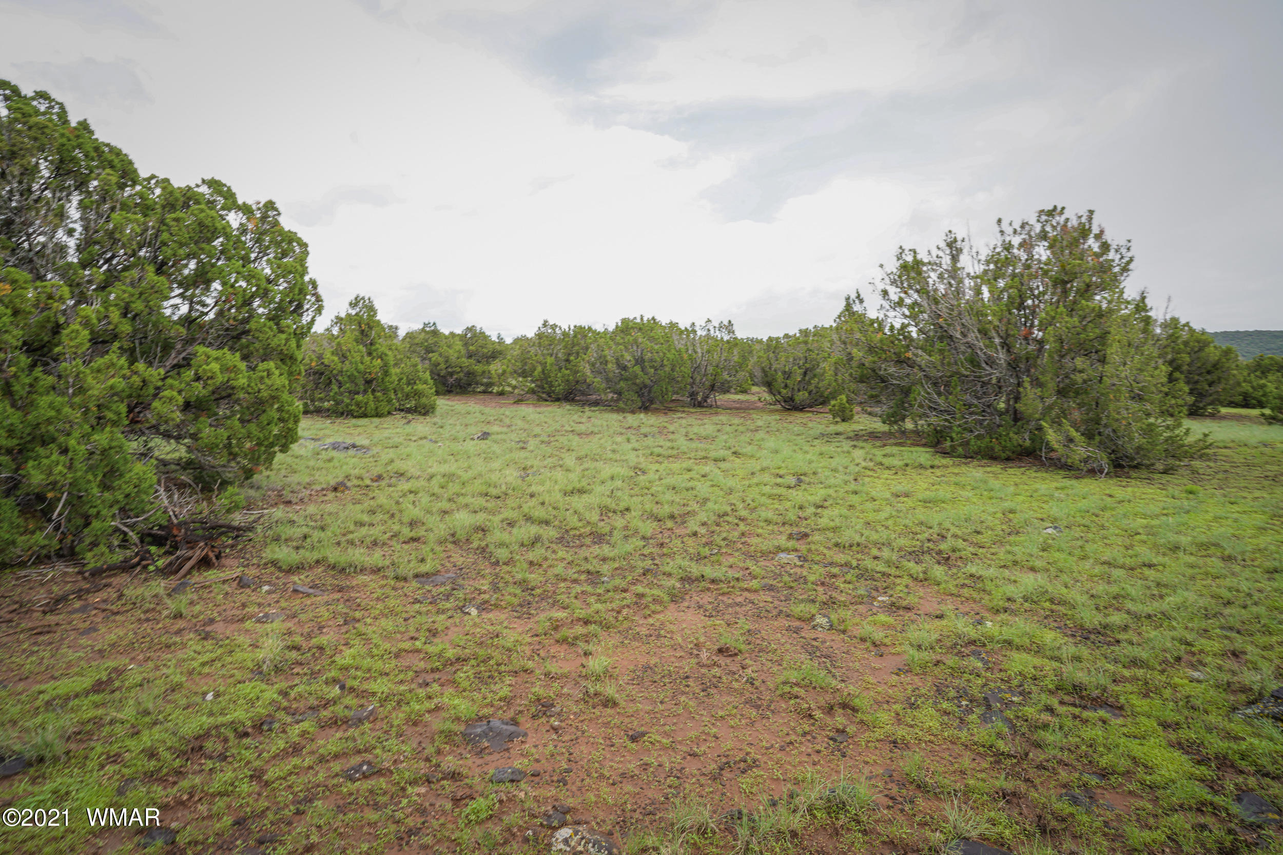 8178 Concho Az 85924 Concho, AZ 85924 - Photo 24 of 28
