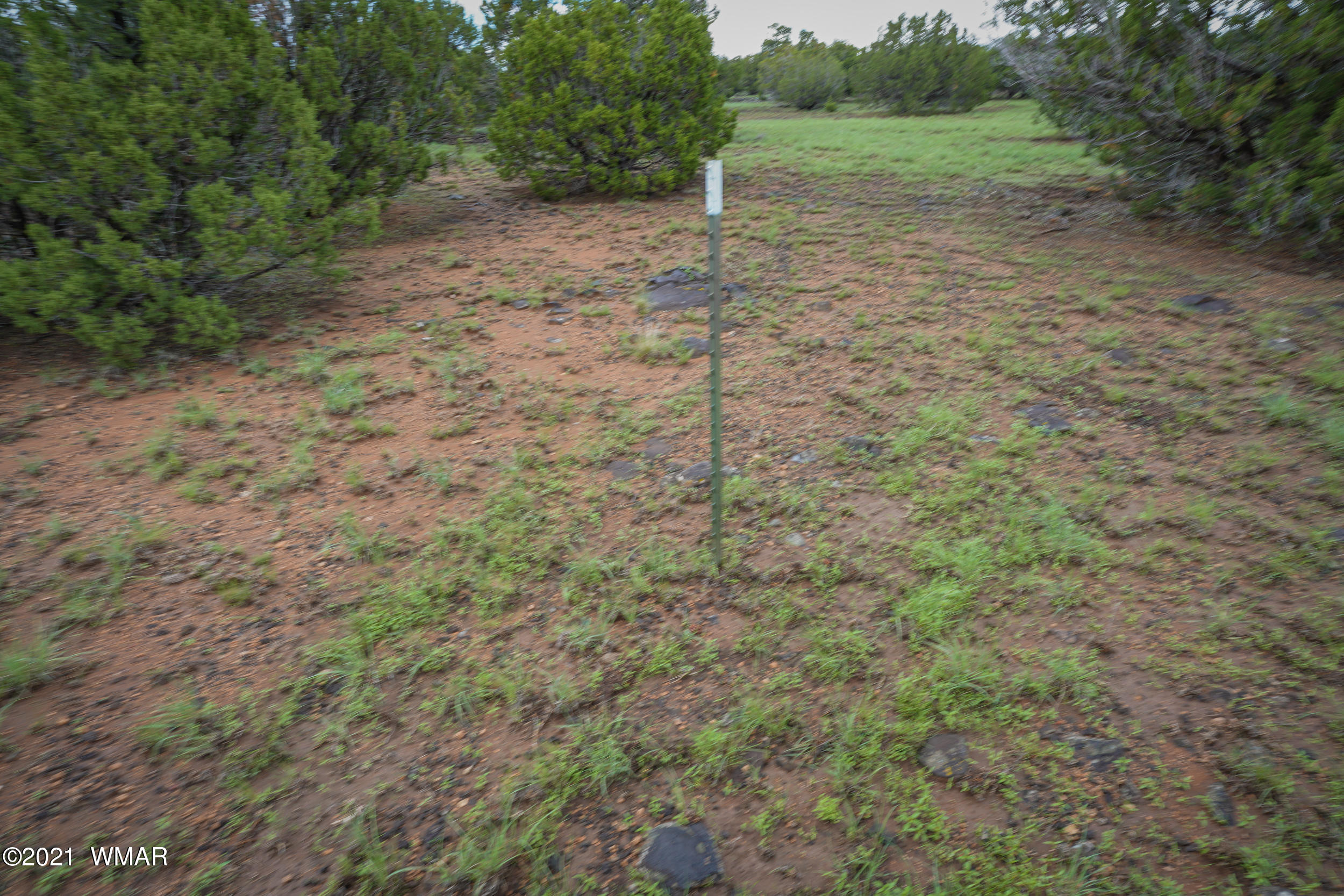 8178 Concho Az 85924 Concho, AZ 85924 - Photo 25 of 28