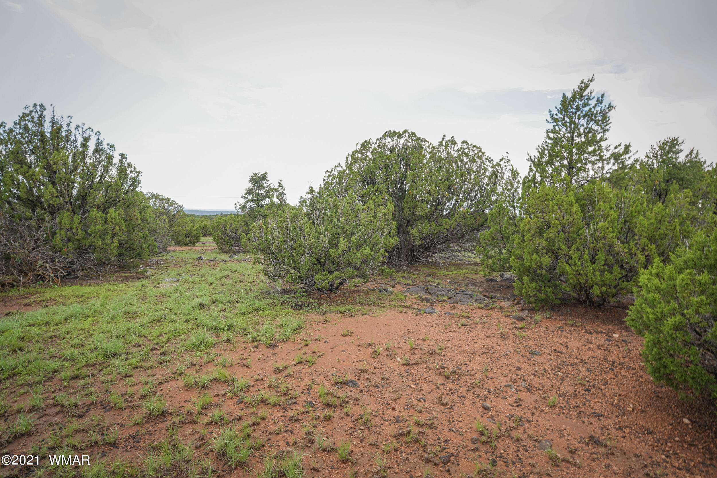 8178 Concho Az 85924 Concho, AZ 85924 - Photo 26 of 28