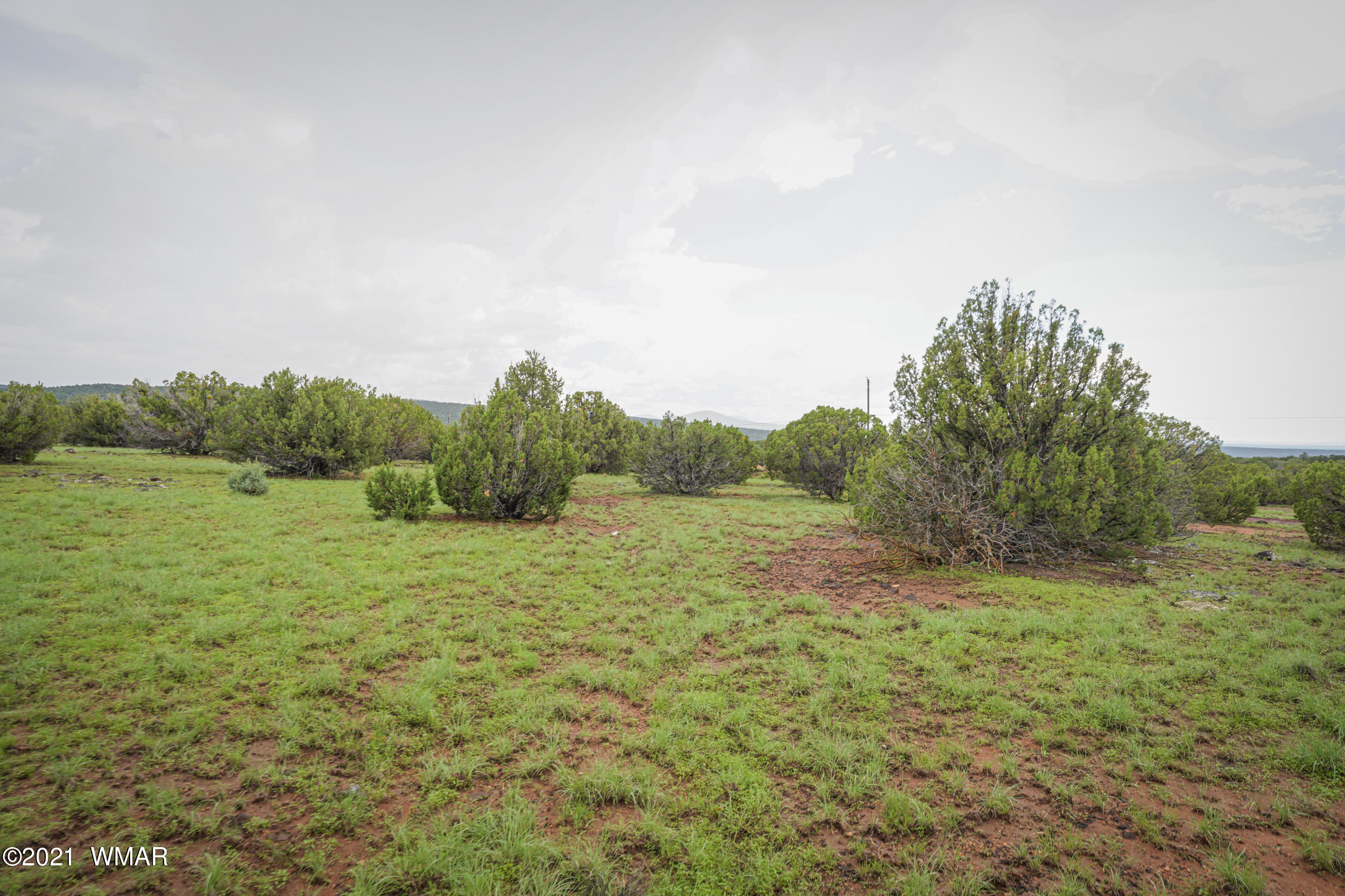 8178 Concho Az 85924 Concho, AZ 85924 - Photo 27 of 28