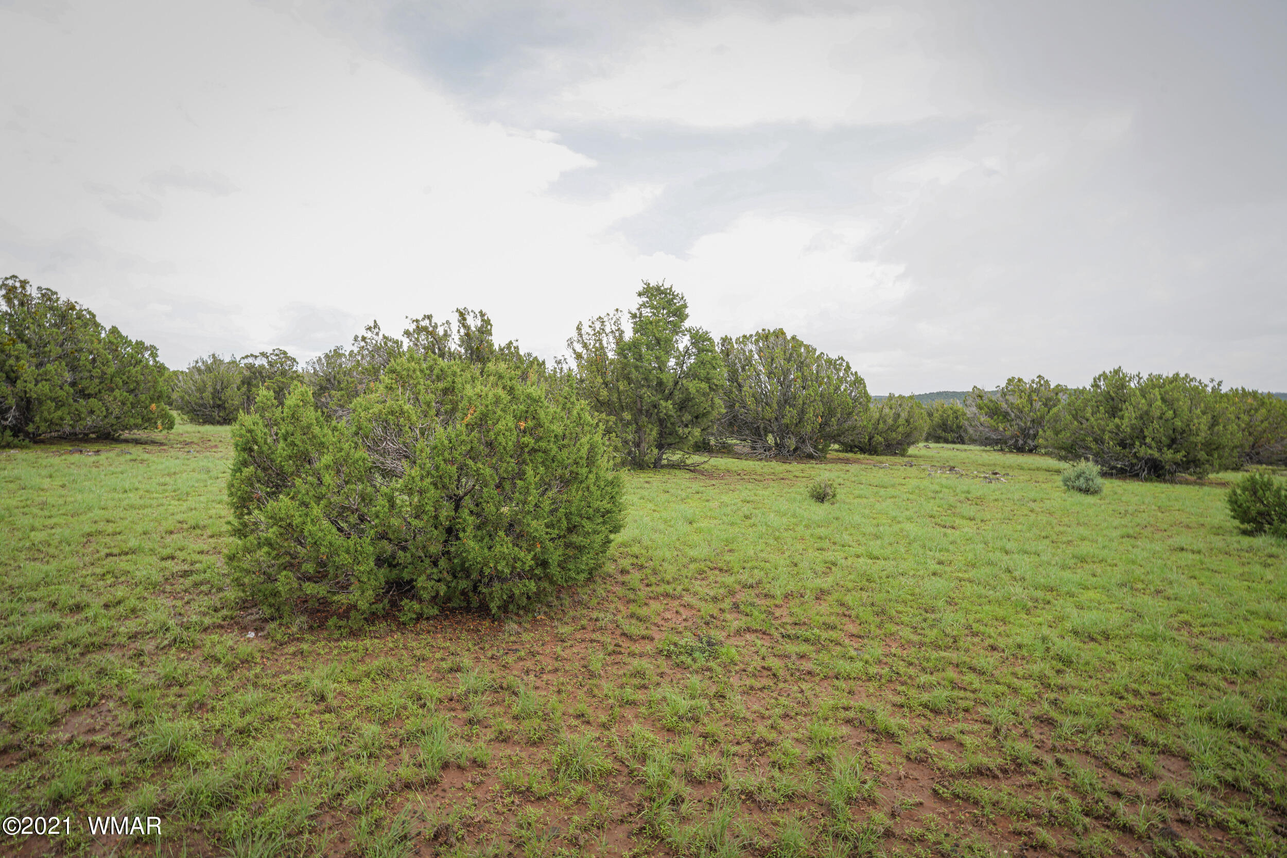 8178 Concho Az 85924 Concho, AZ 85924 - Photo 28 of 28
