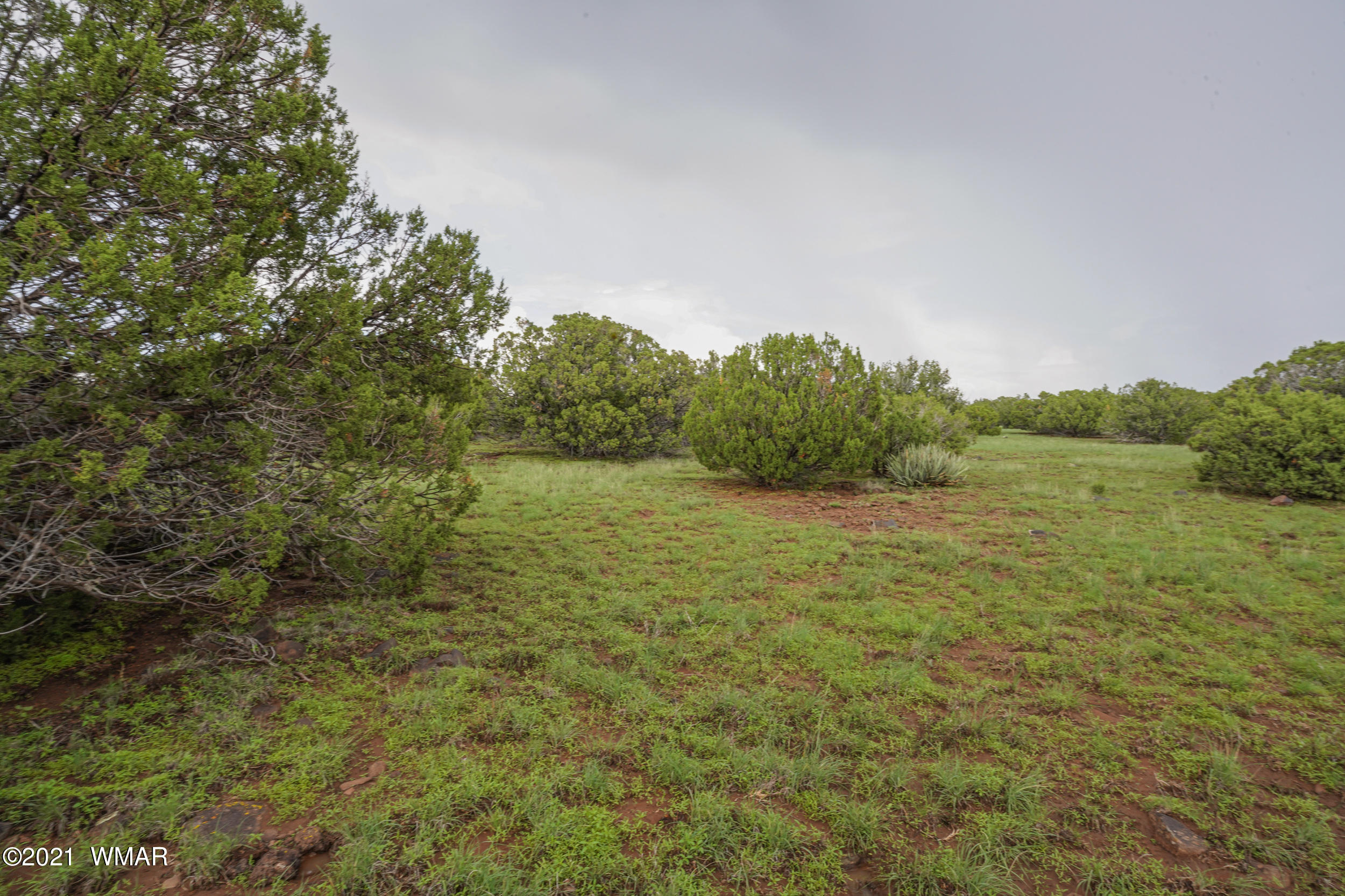 8178 Concho Az 85924 Concho, AZ 85924 - Photo 3 of 28