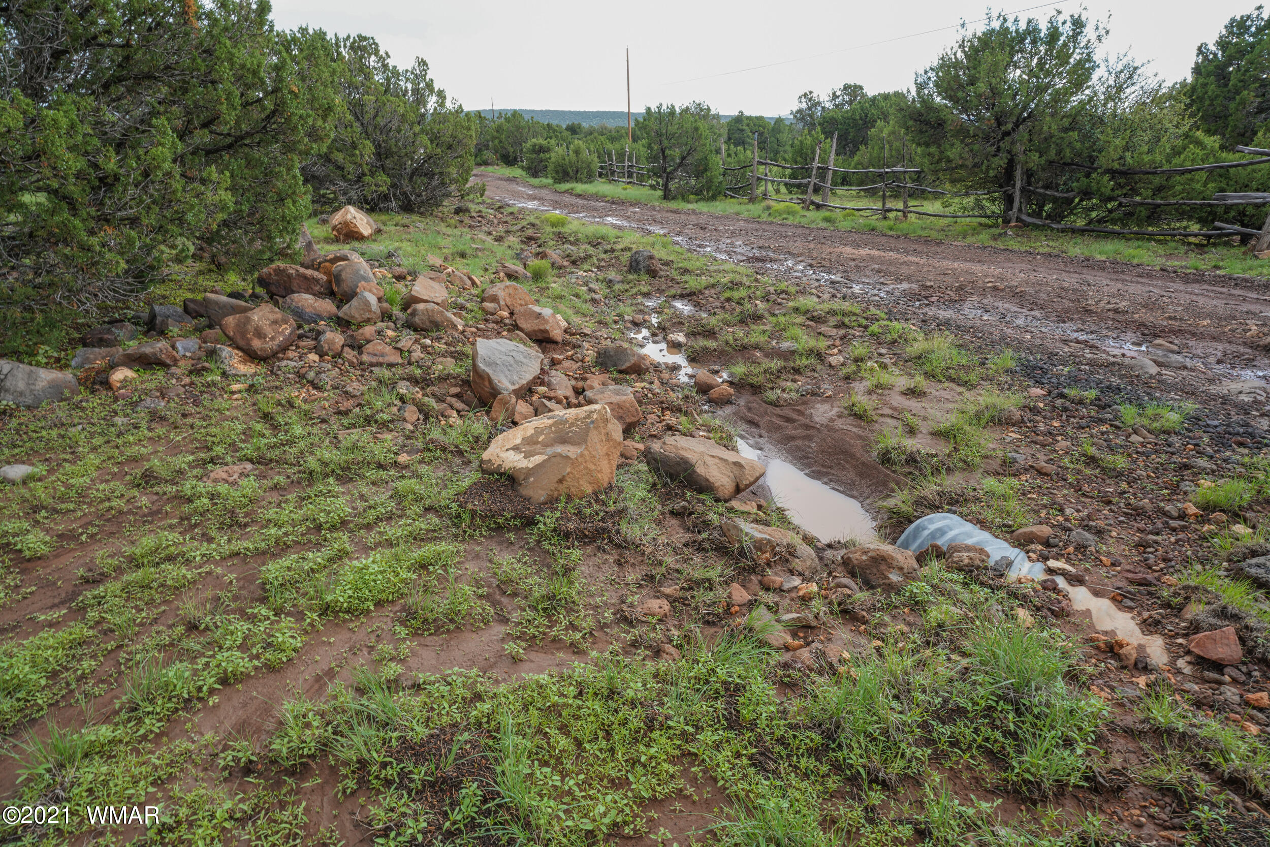 8178 Concho Az 85924 Concho, AZ 85924 - Photo 4 of 28