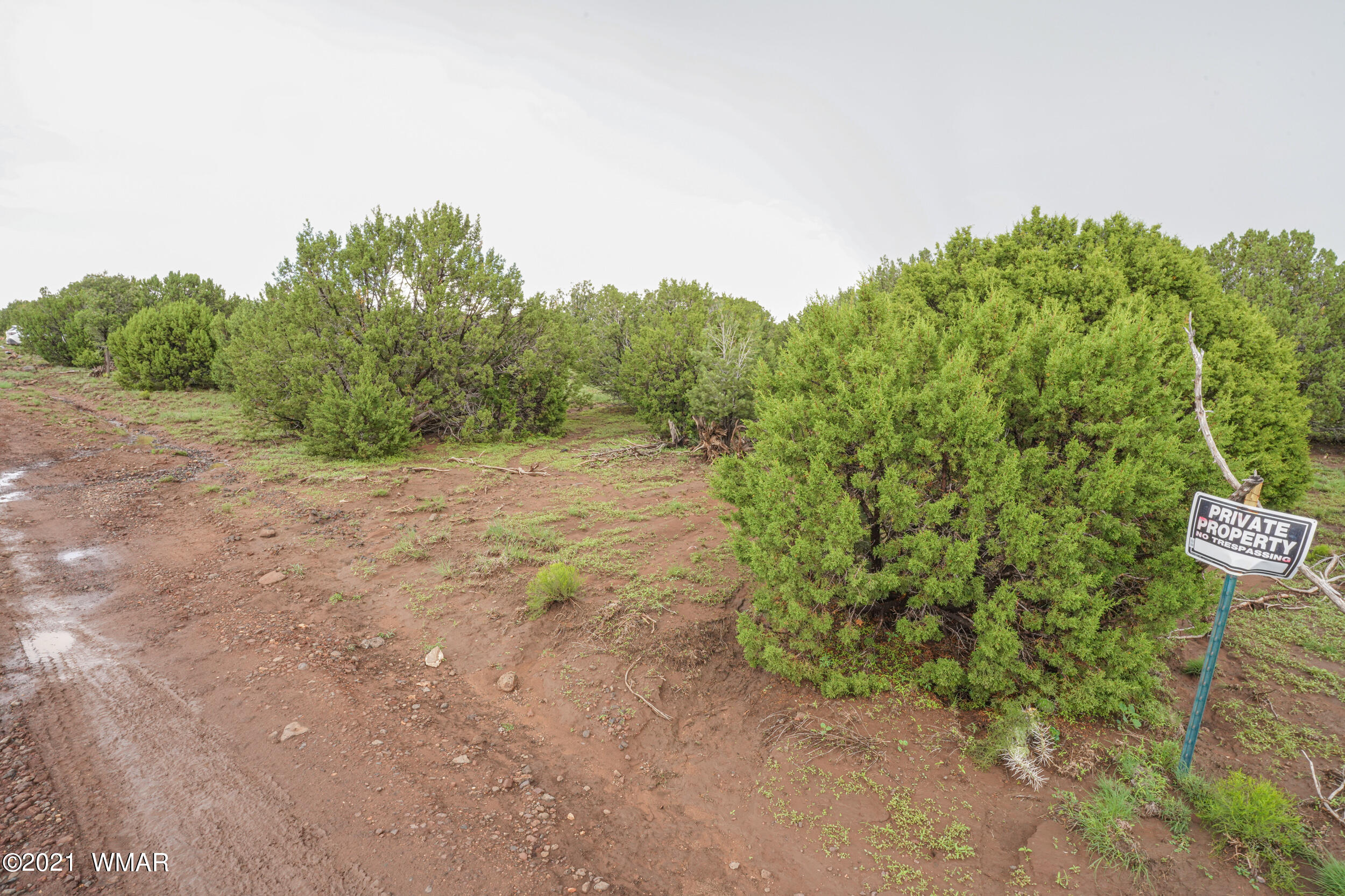 8178 Concho Az 85924 Concho, AZ 85924 - Photo 7 of 28