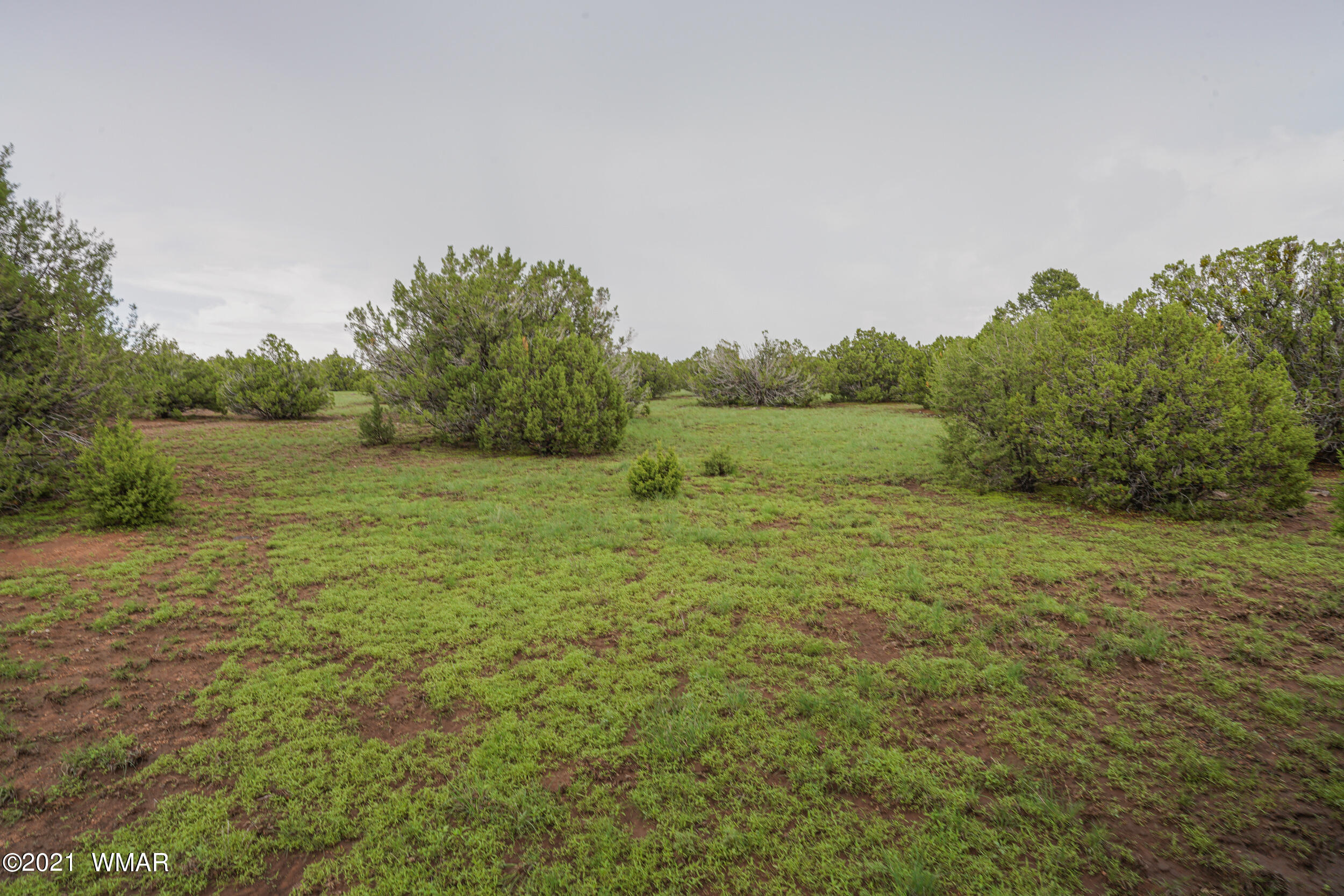 8178 Concho Az 85924 Concho, AZ 85924 - Photo 8 of 28