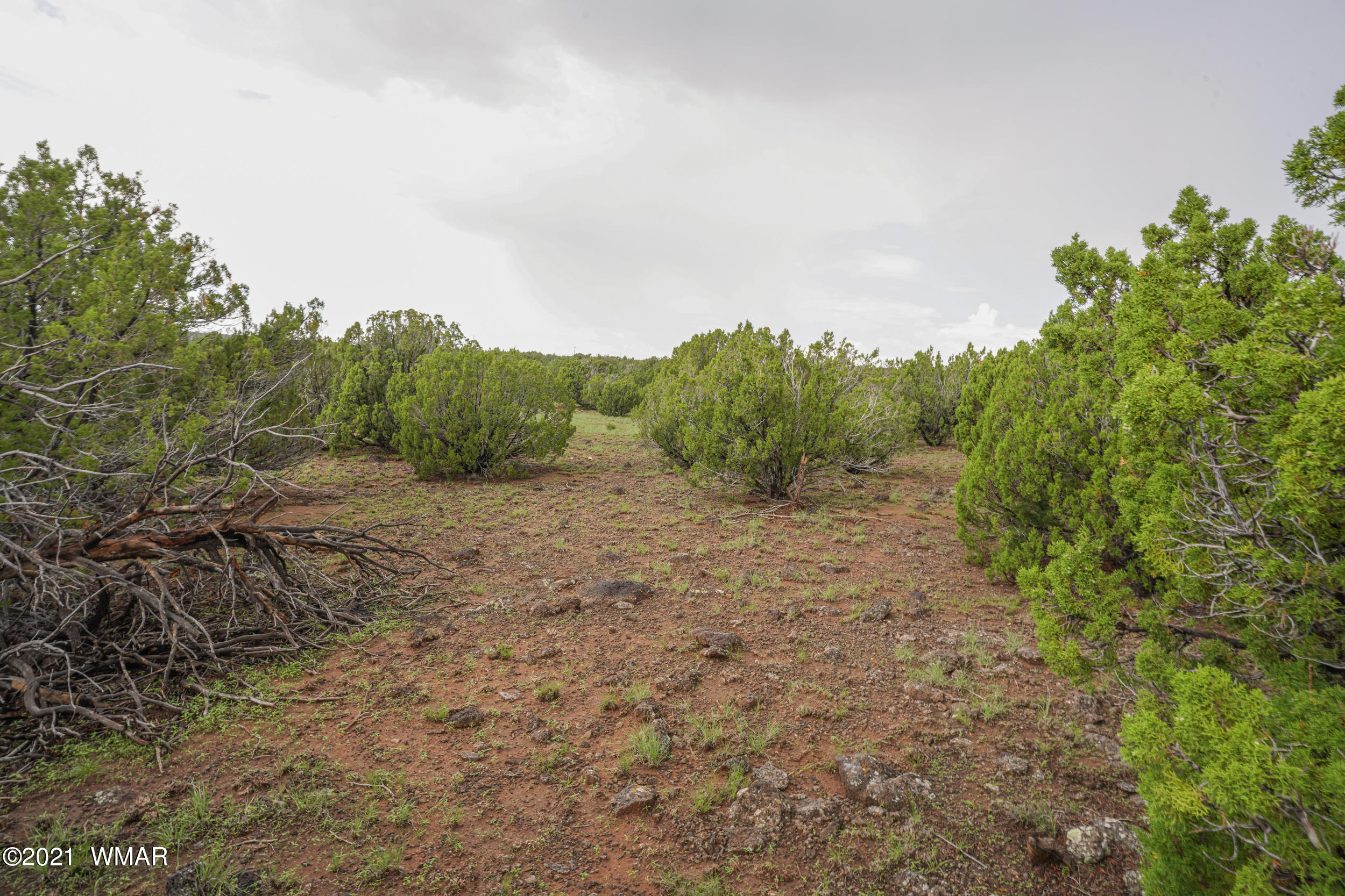 8178 Concho Az 85924 Concho, AZ 85924 - Photo 9 of 28