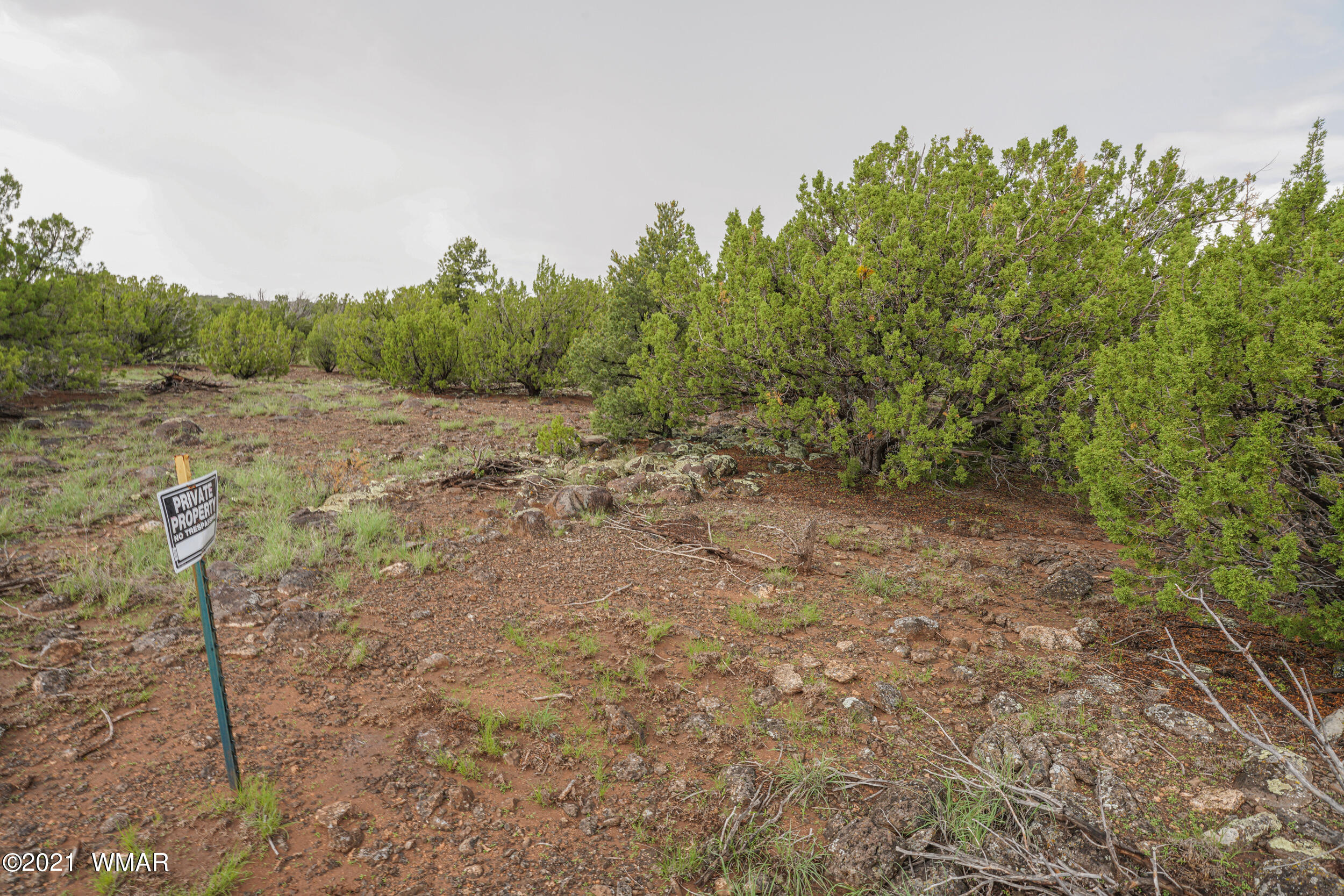 8178 Concho Az 85924 Concho, AZ 85924 - Photo 10 of 28