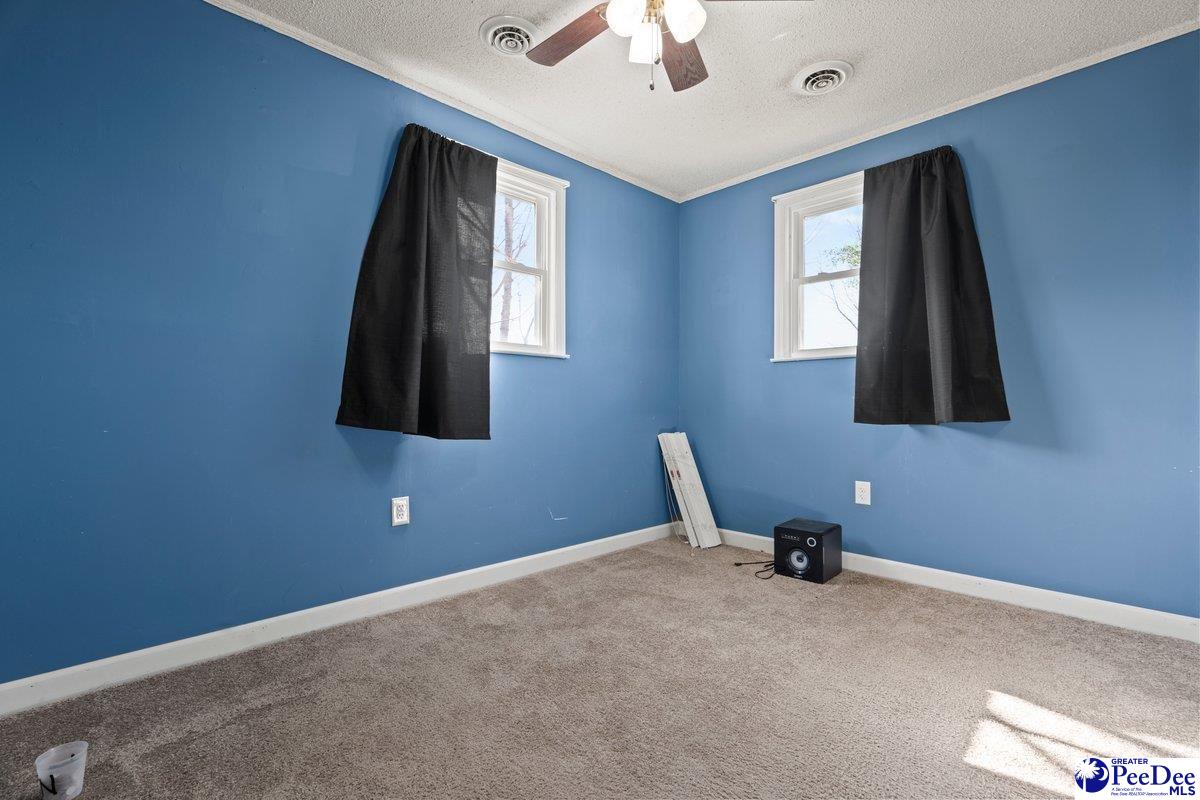 519 Black Branch Road Dillon, SC 29536 - Photo 19 of 25 Gallery Image 19